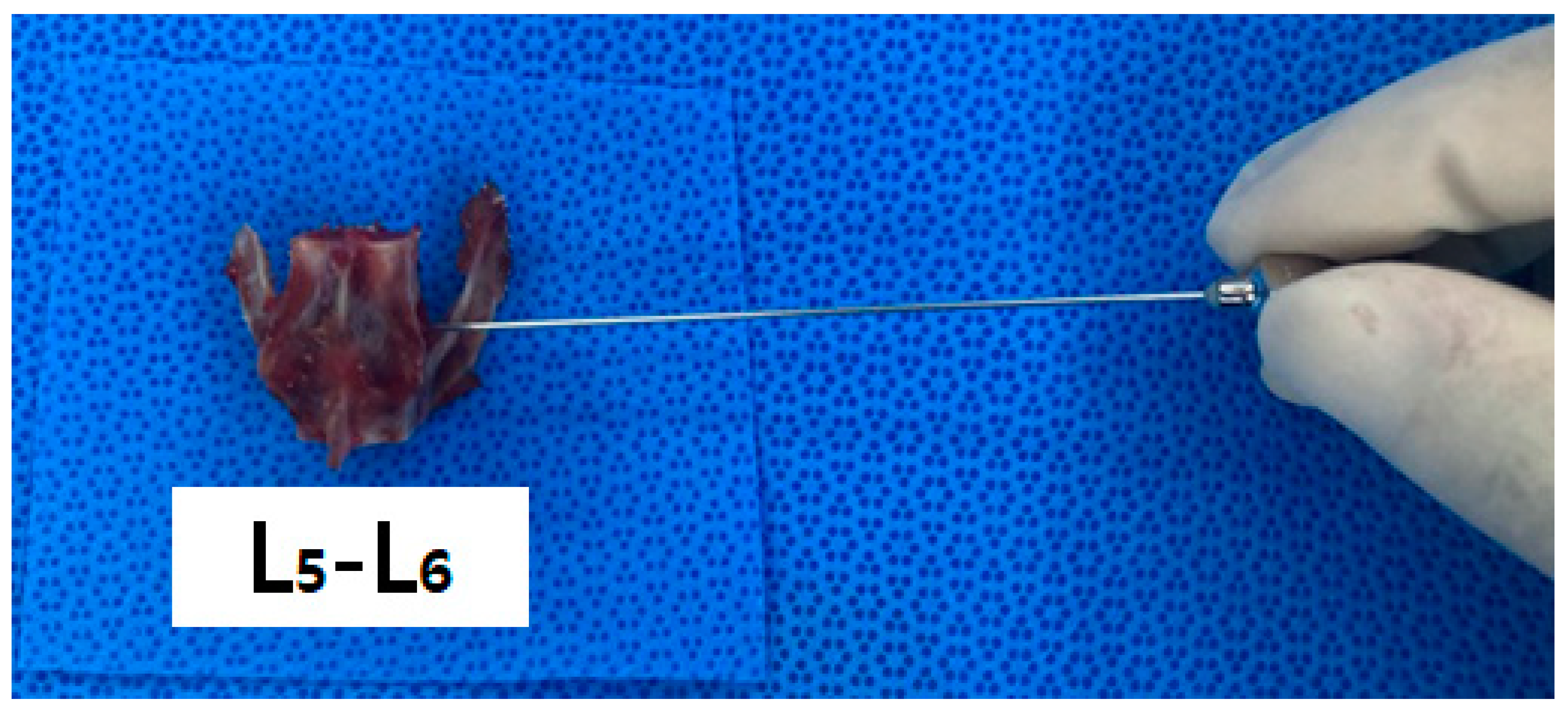 Vetsci 11 00325 g004