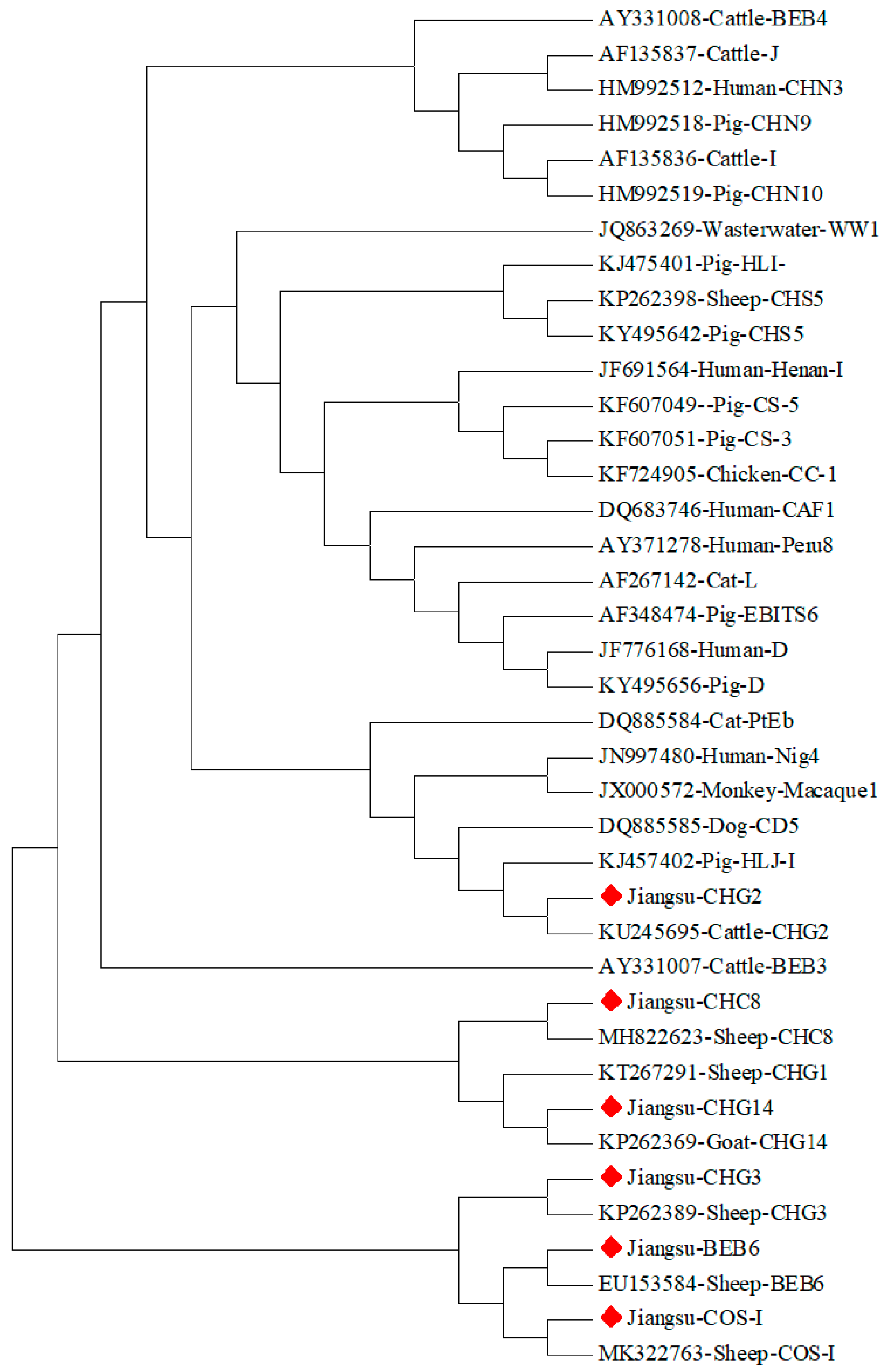 Vetsci 11 00327 g002