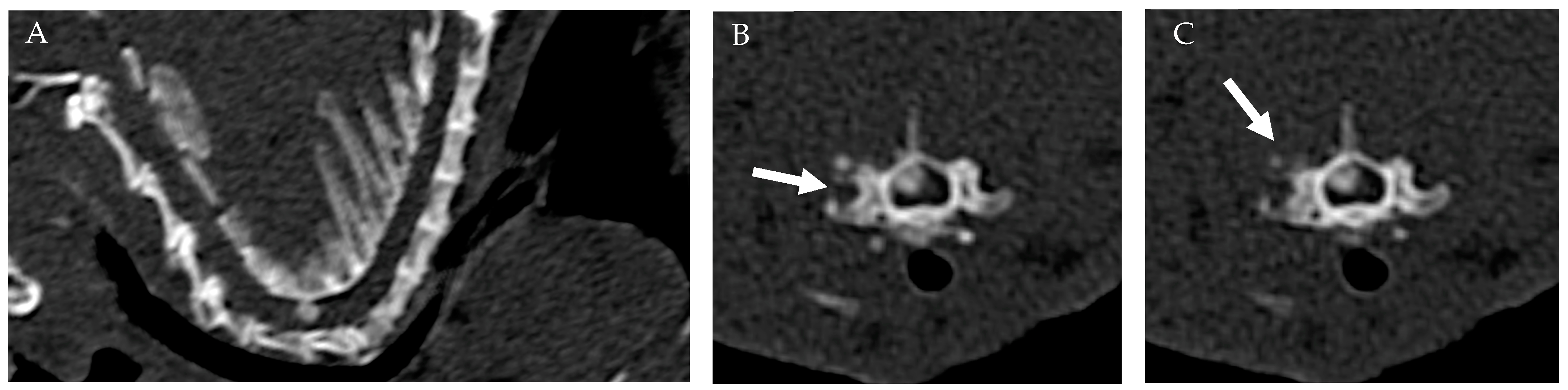 Vetsci 11 00328 g001