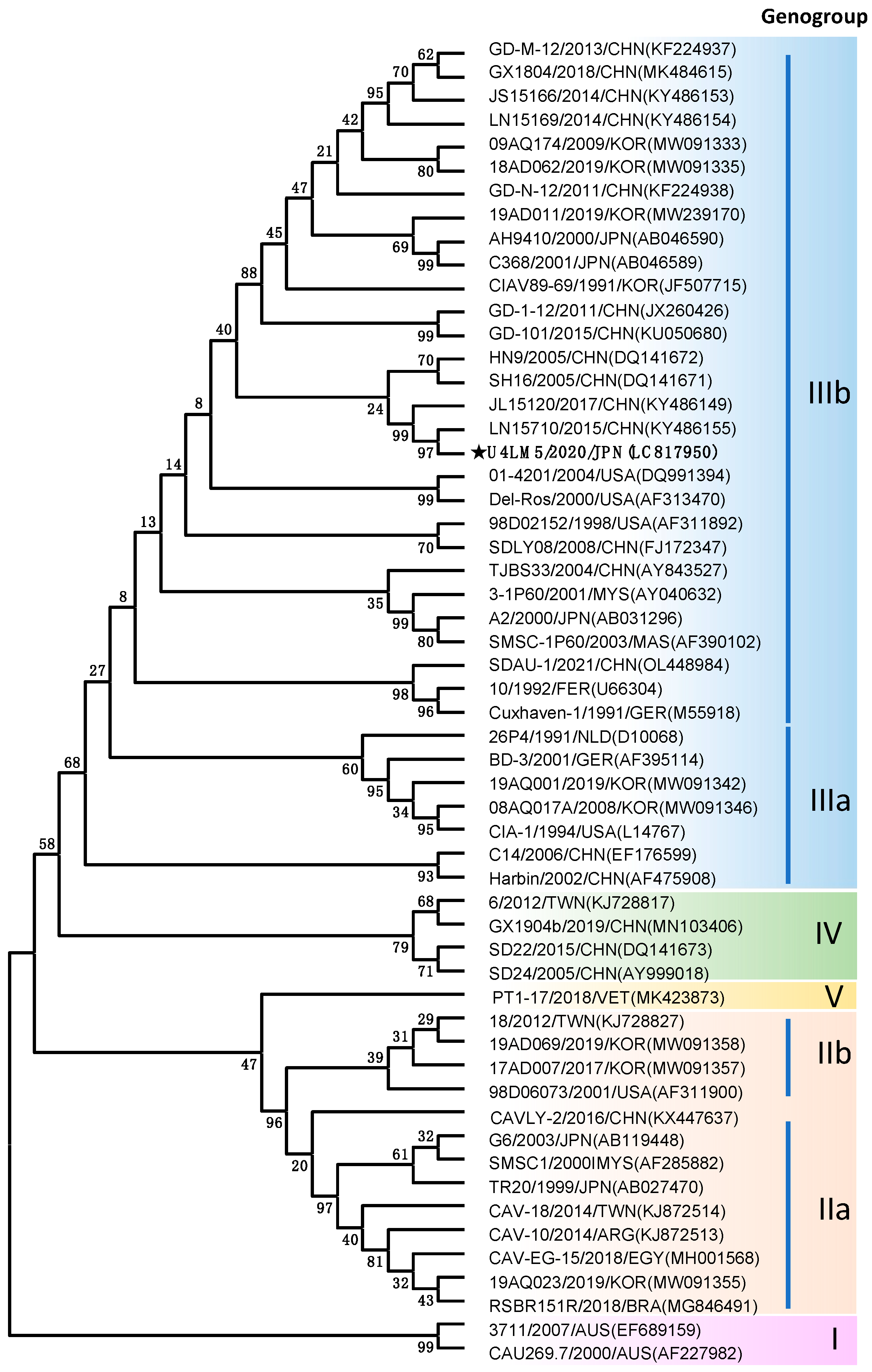 Vetsci 11 00329 g003