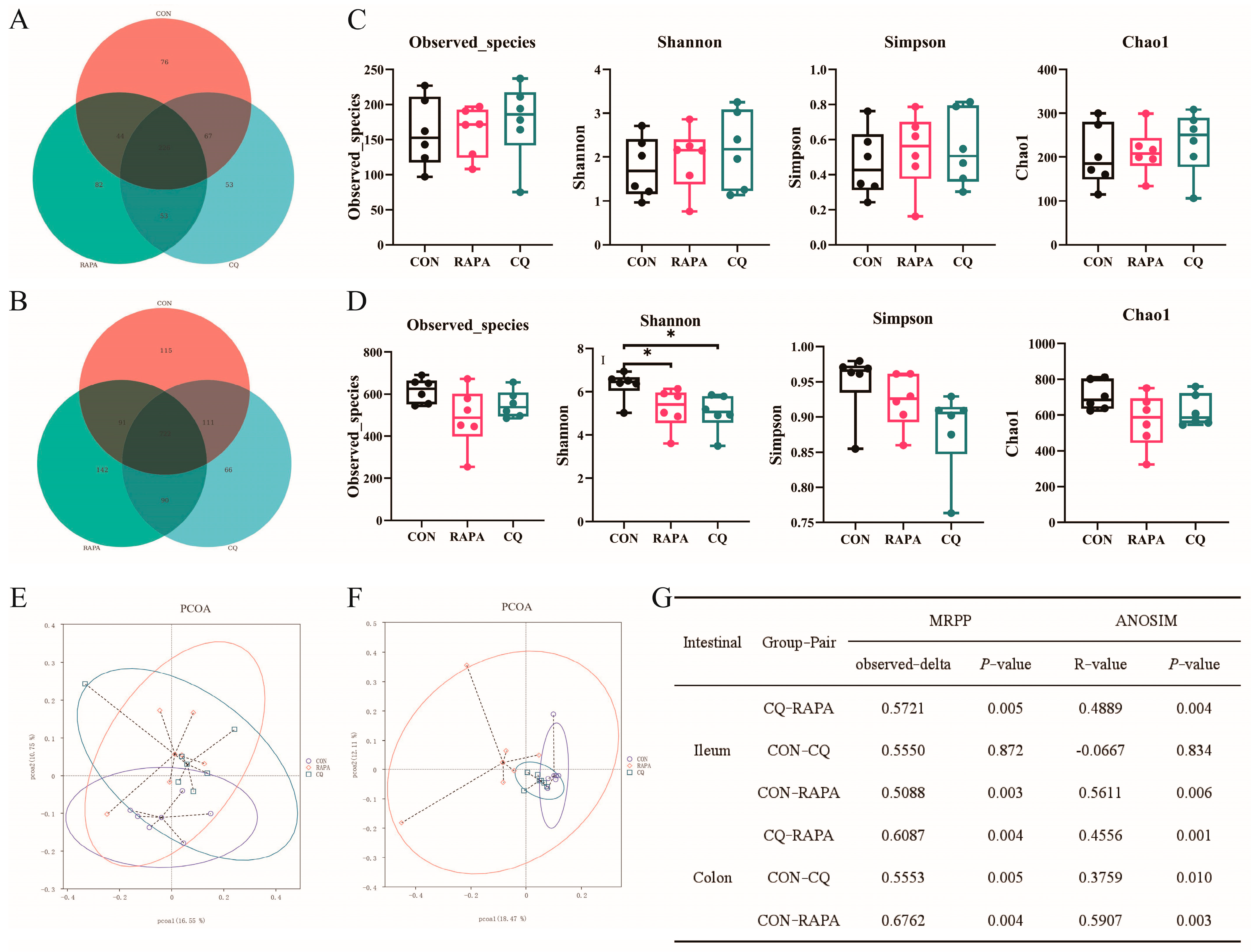 Chloroquine Downregulation of Intestinal Autophagy Changed
