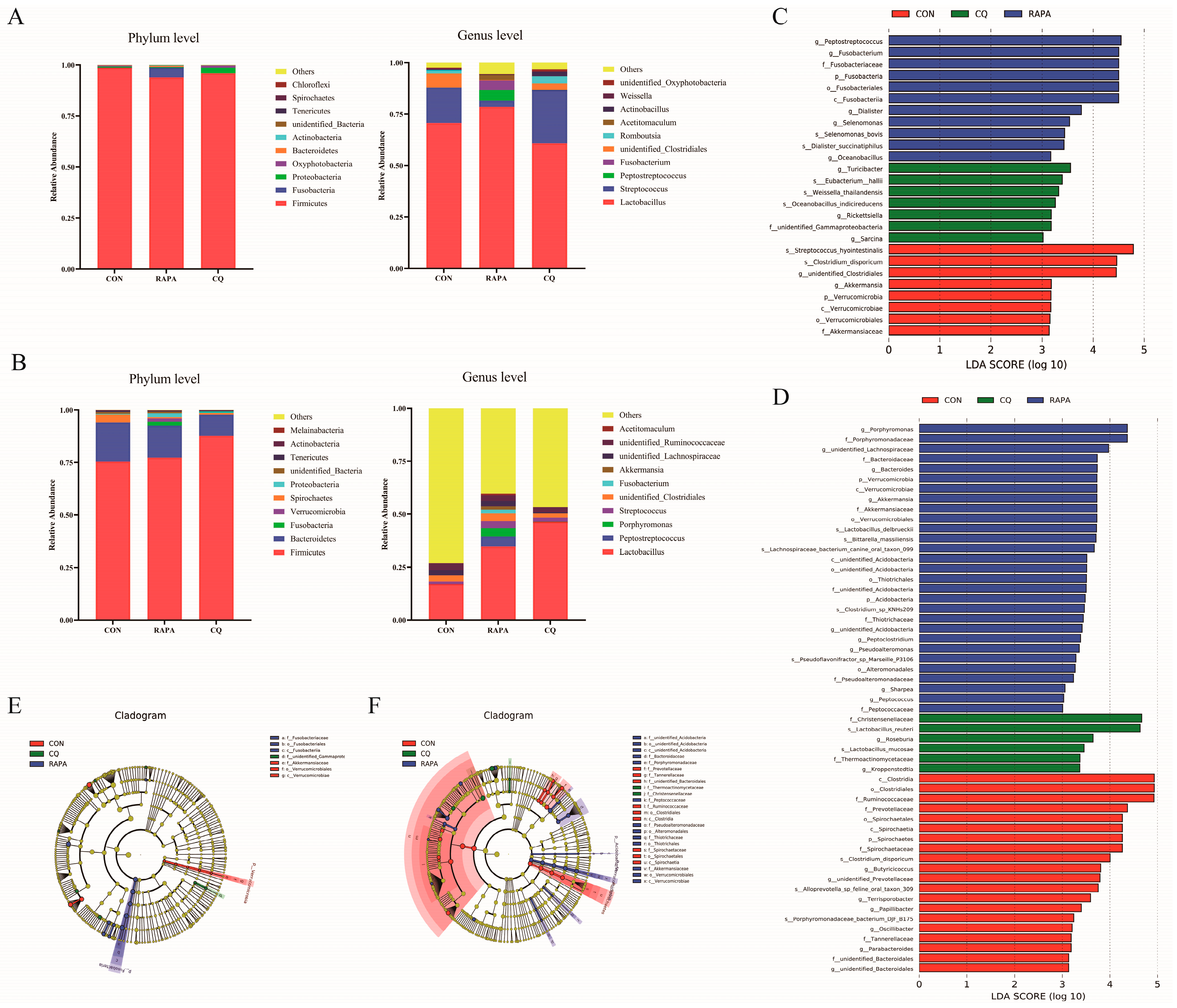 Vetsci 11 00333 g002