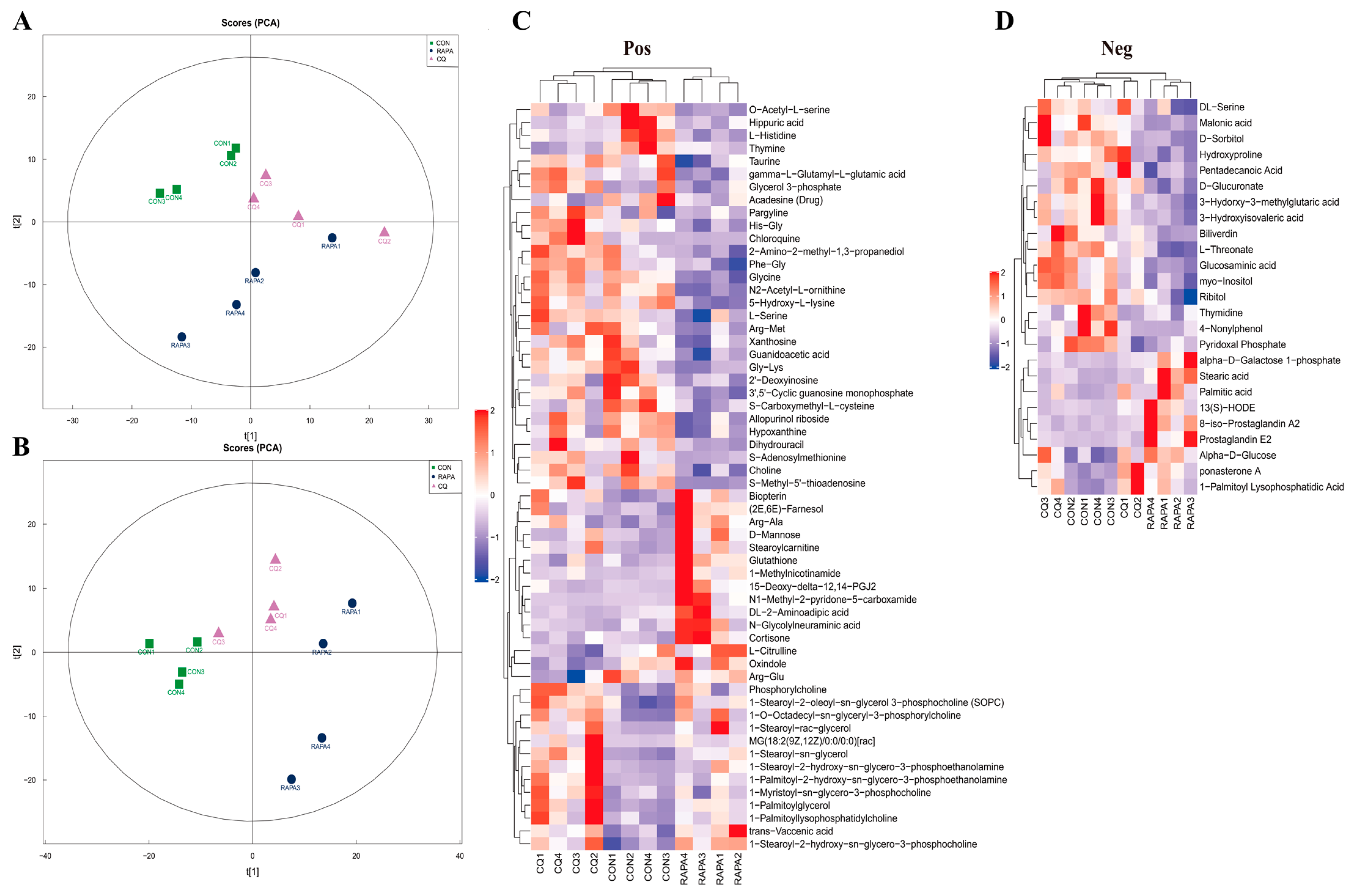 Vetsci 11 00333 g003