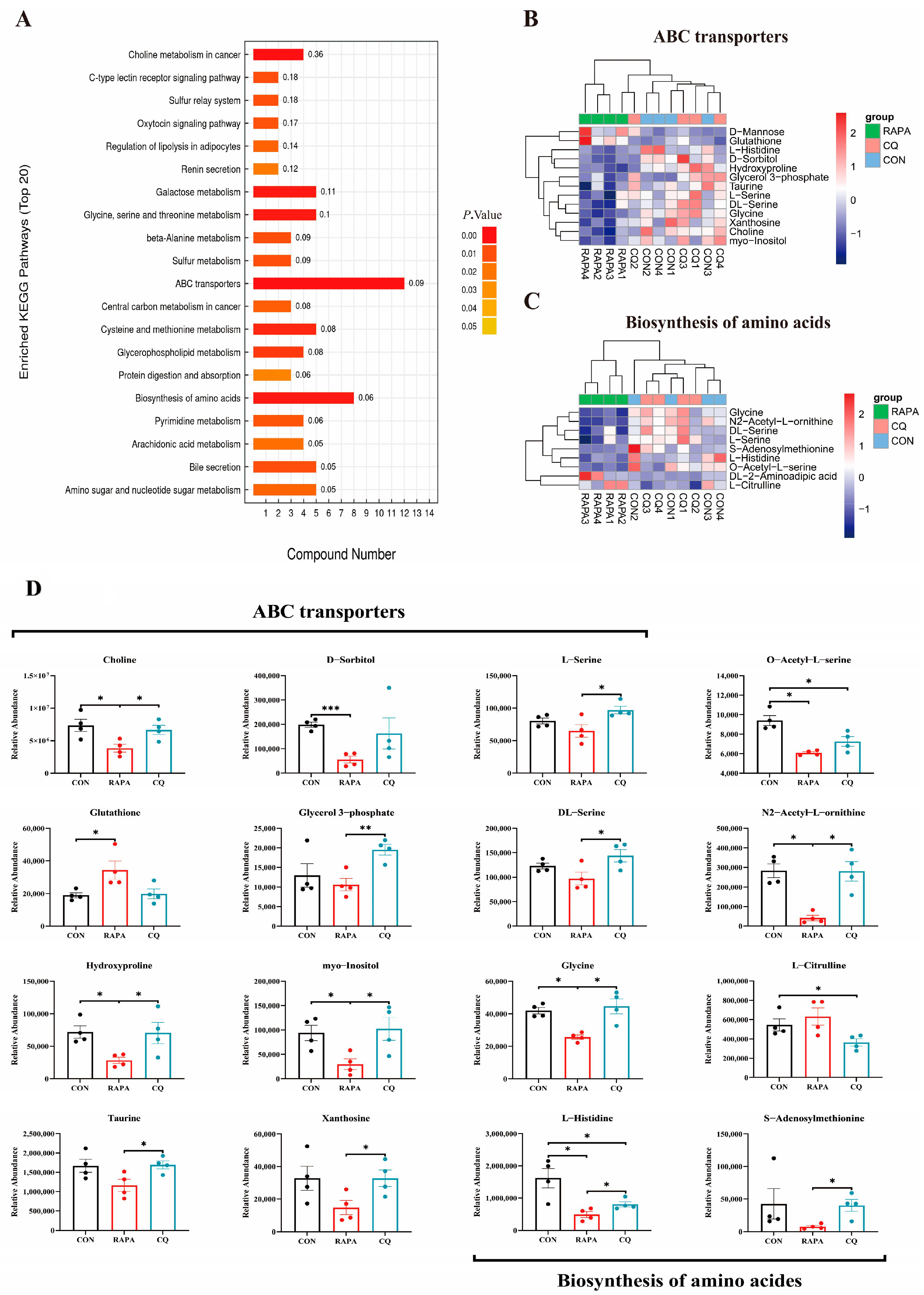 Vetsci 11 00333 g004