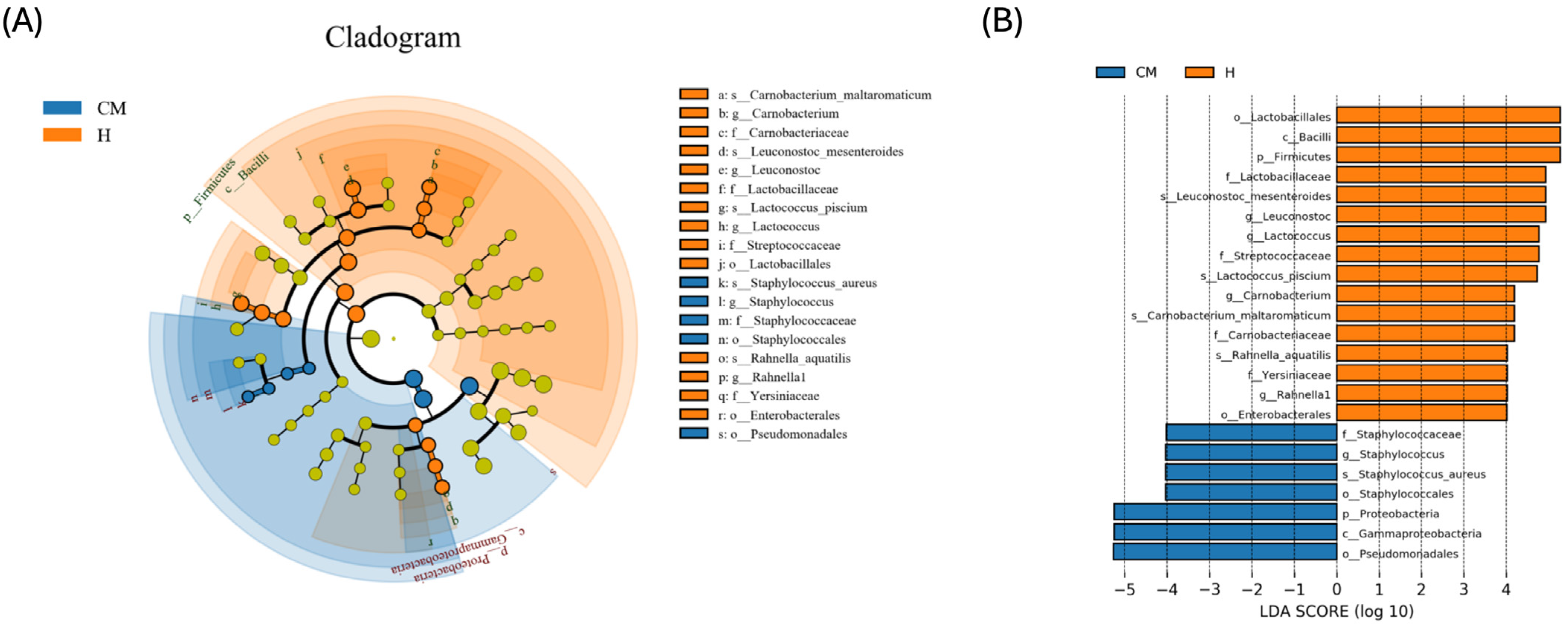 Vetsci 11 00335 g005