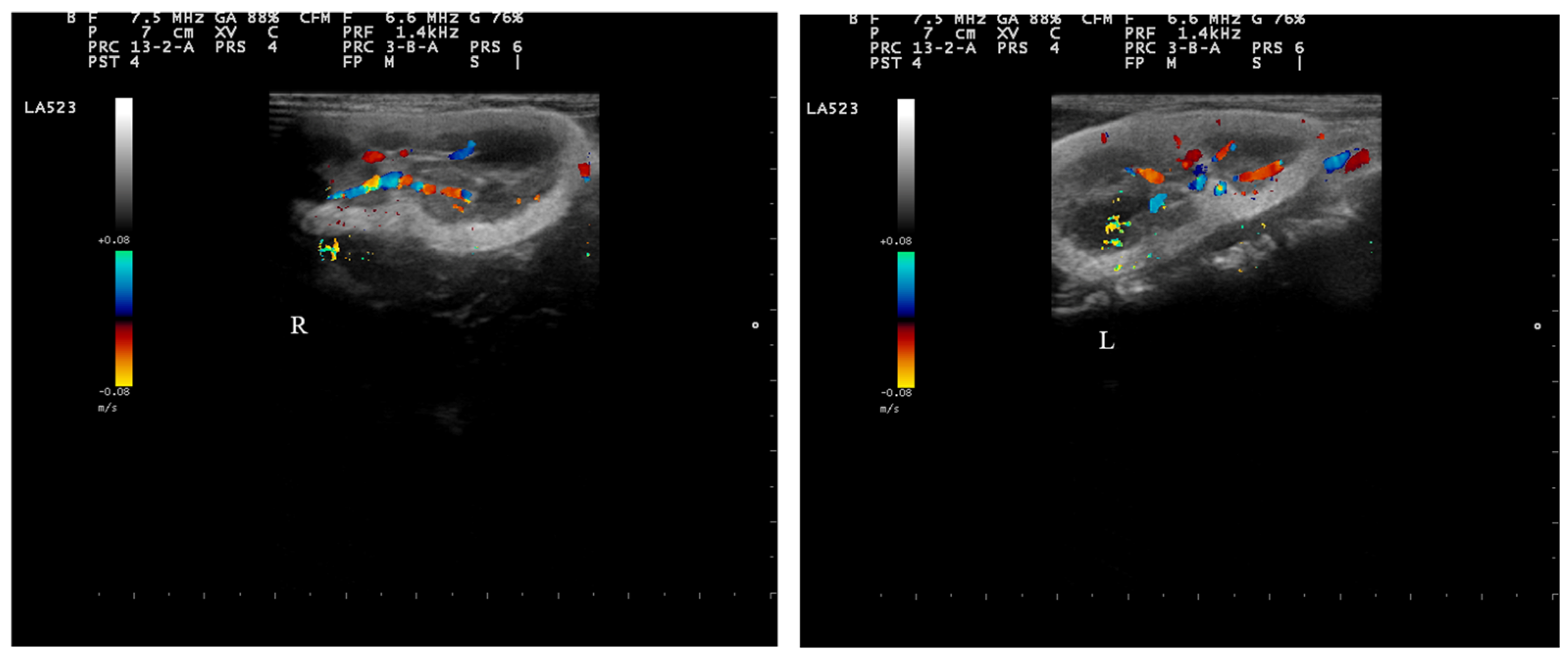 Vetsci 11 00338 g003