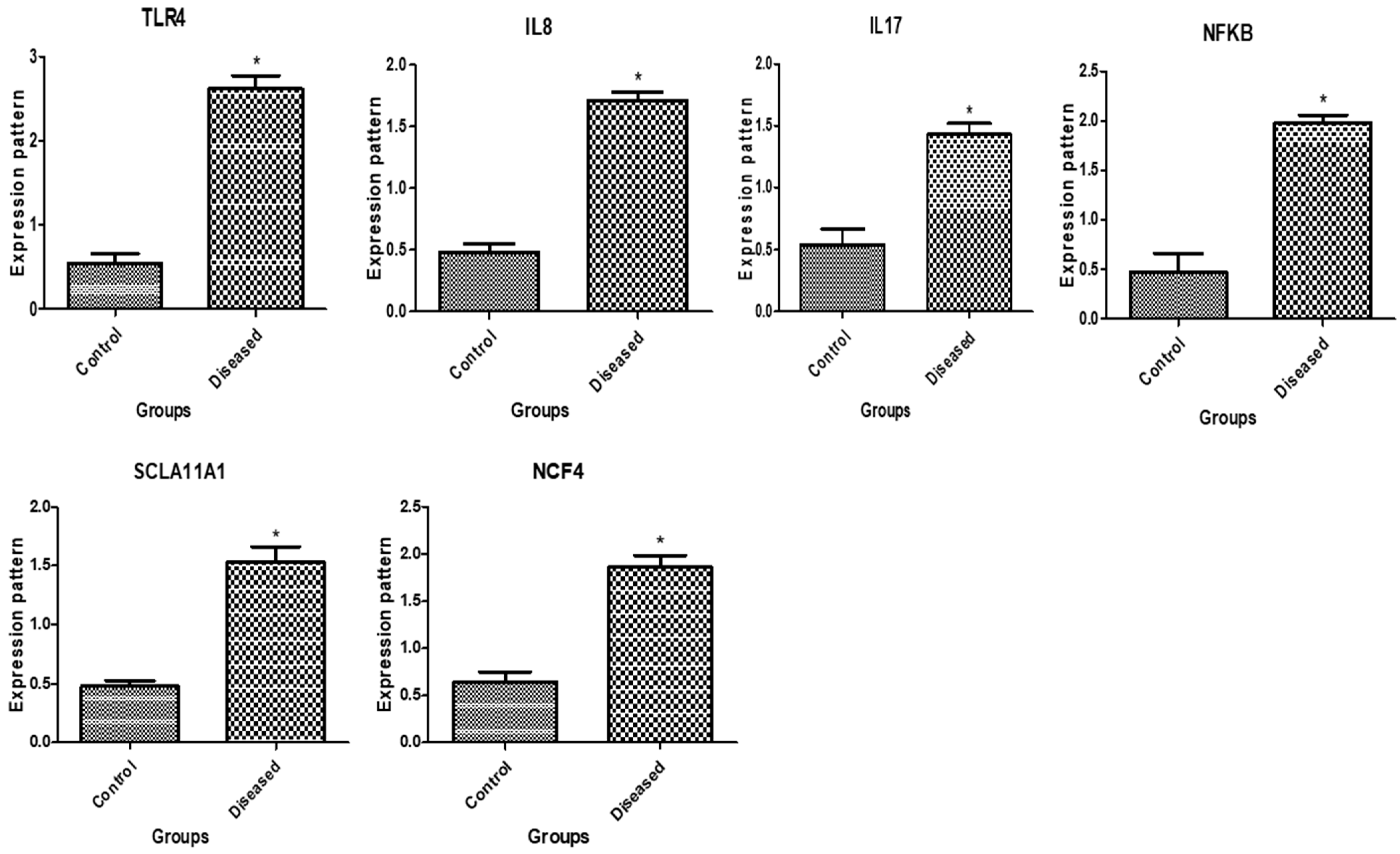 Vetsci 11 00340 g001