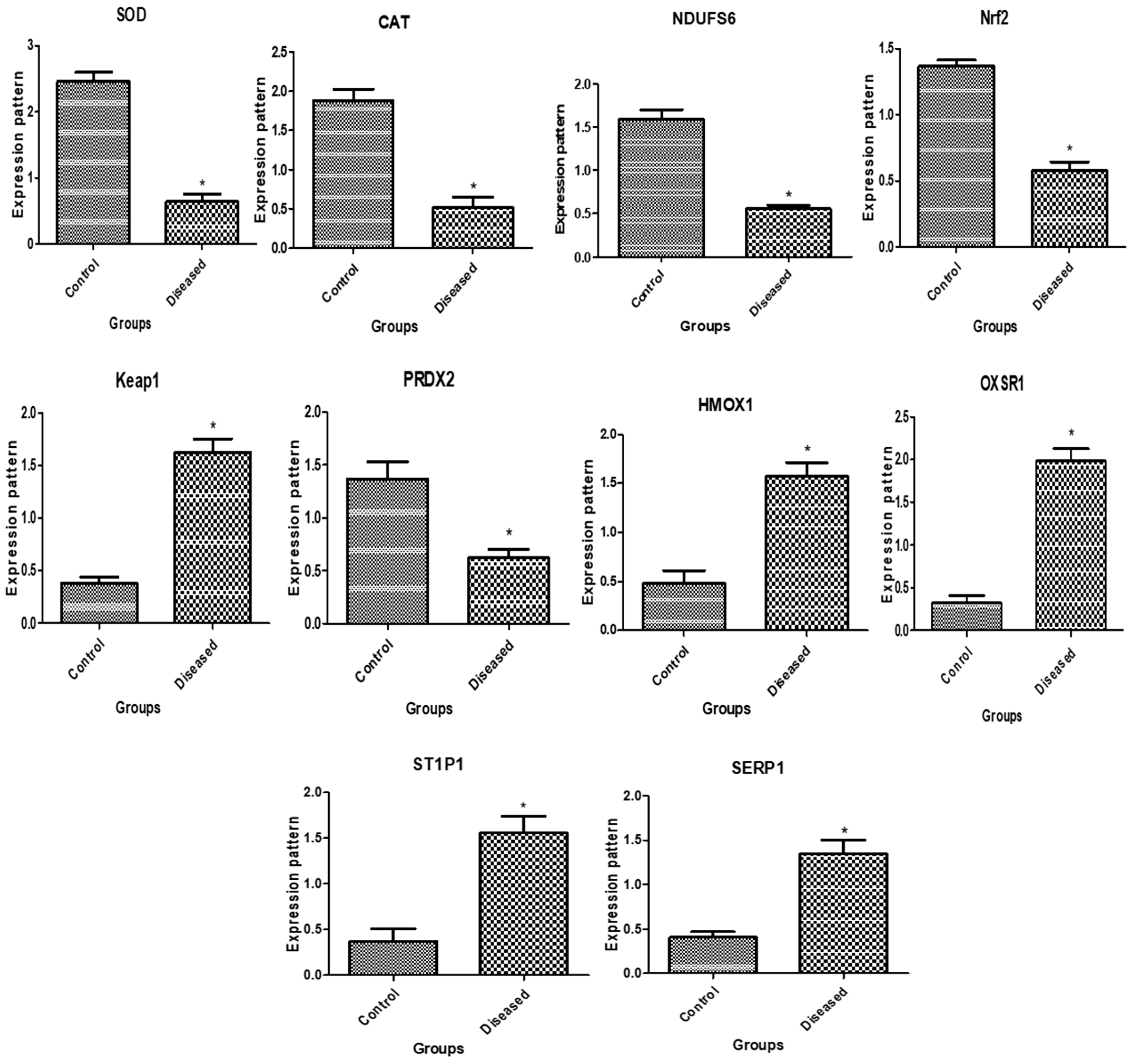 Vetsci 11 00340 g002
