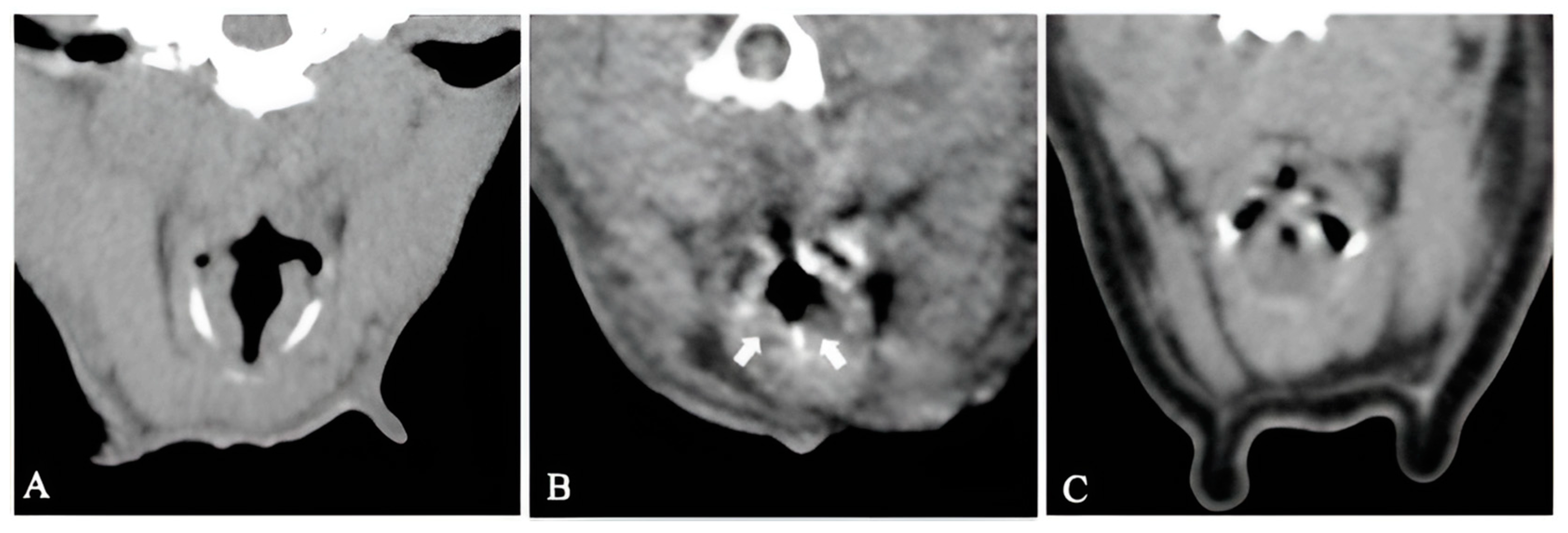 Vetsci 11 00342 g003