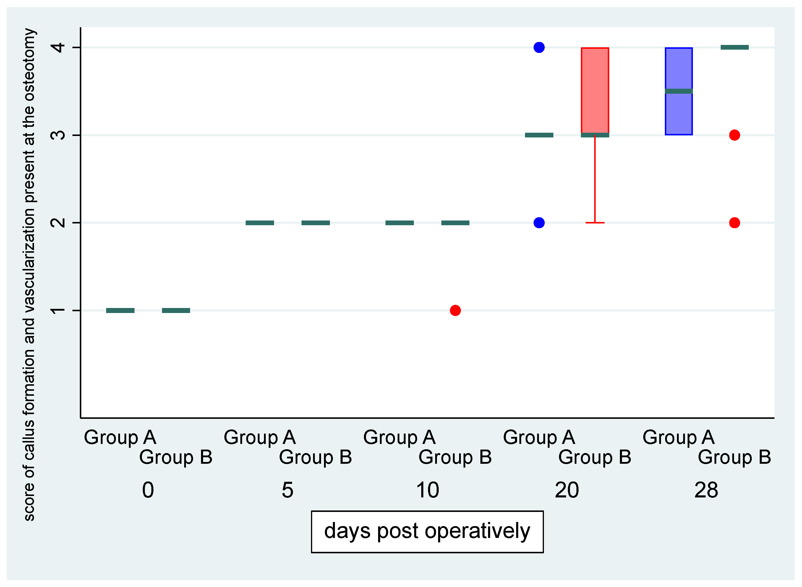 Vetsci 11 00343 g004