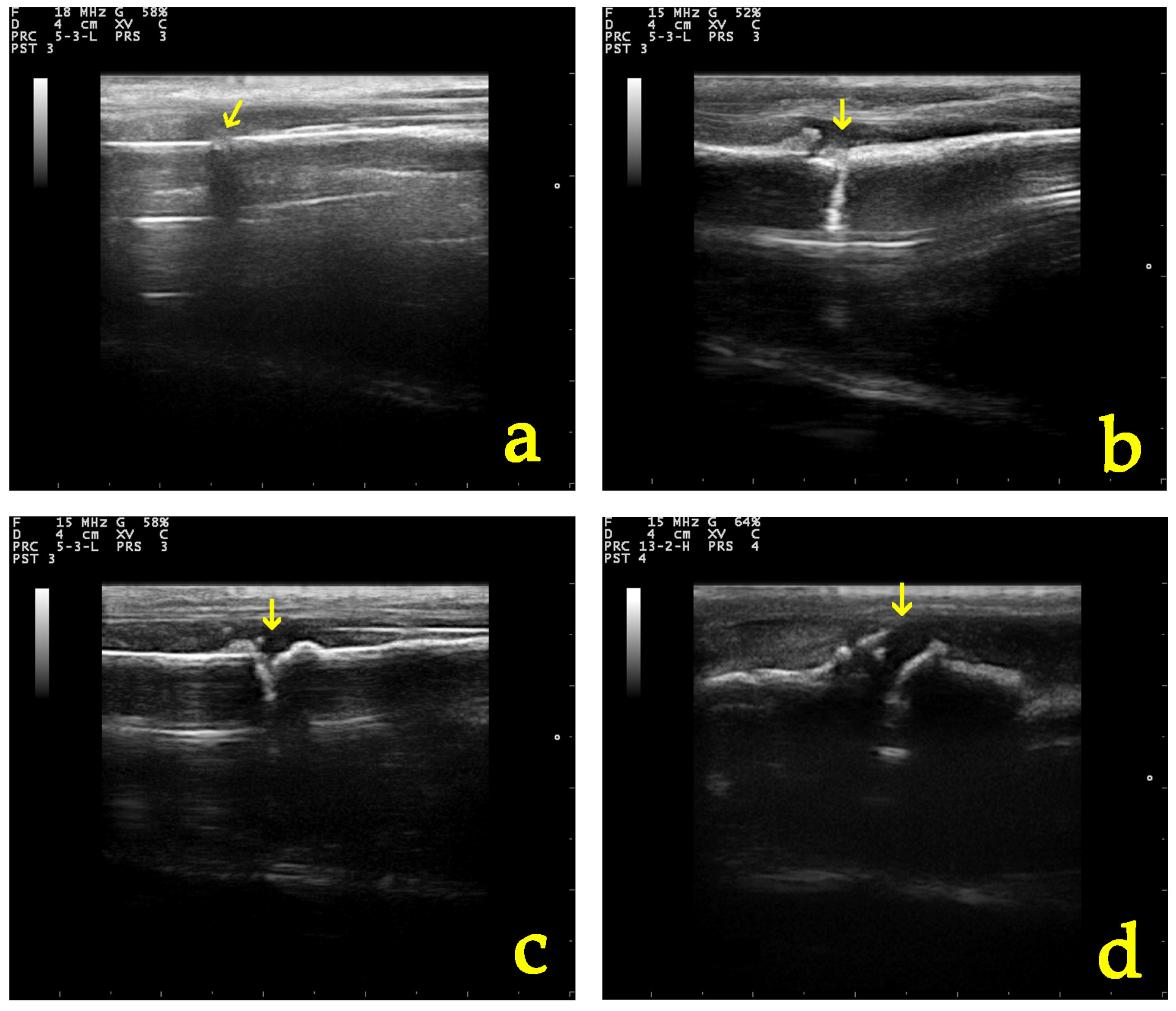 Vetsci 11 00343 g006