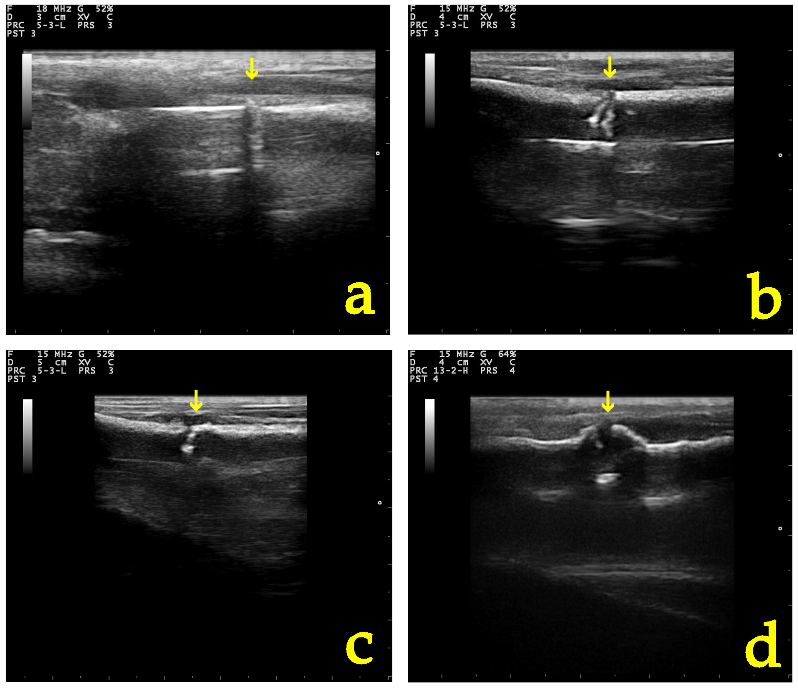 Vetsci 11 00343 g007