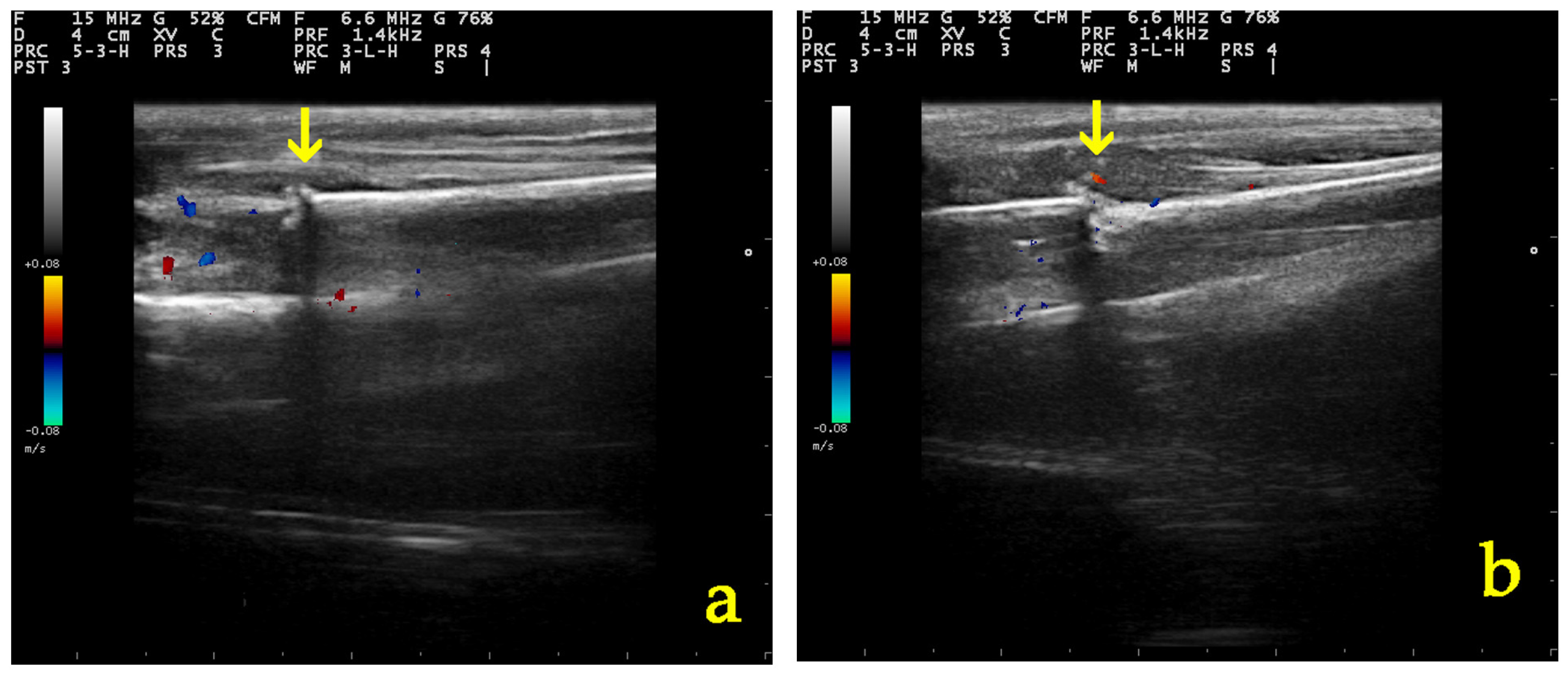 Vetsci 11 00343 g008