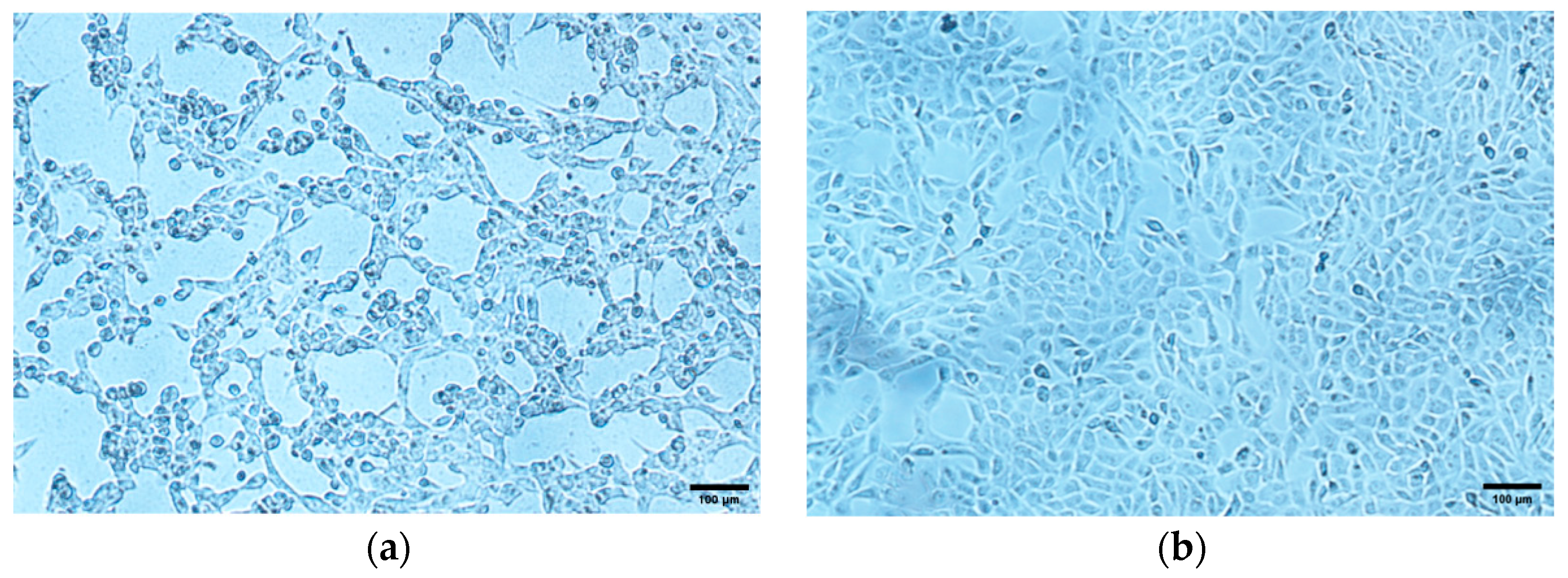 Vetsci 11 00348 g002a Vetsci 11 00348 g002a