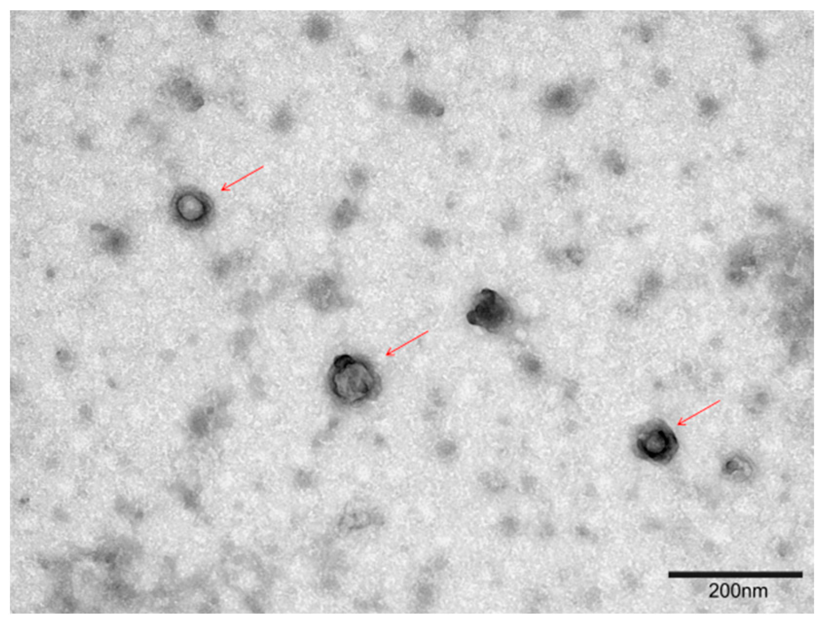 Vetsci 11 00348 g003 Vetsci 11 00348 g003