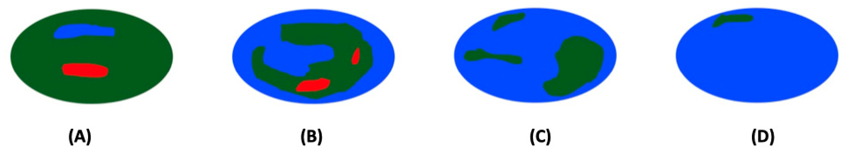 Vetsci 11 00352 g002