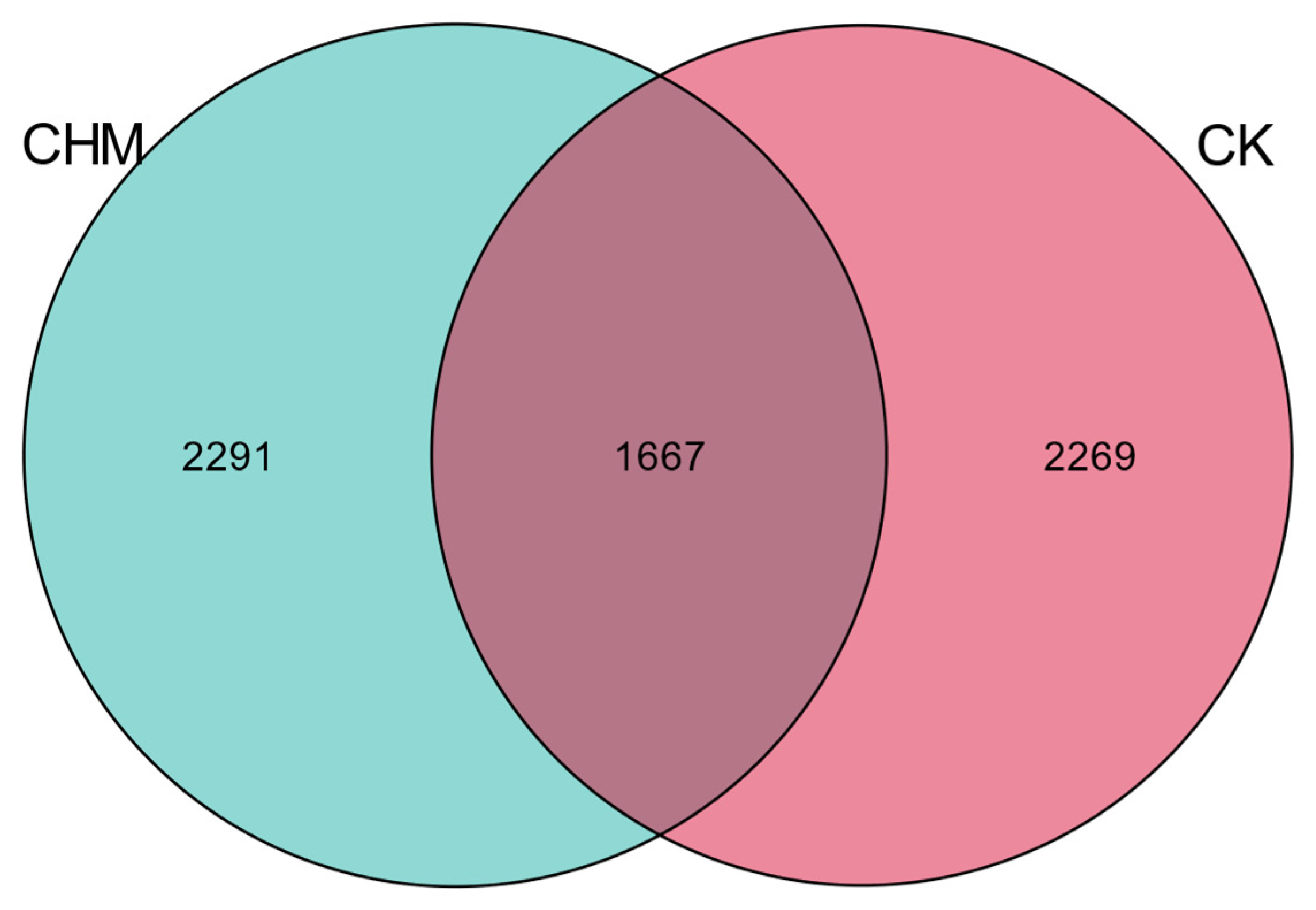 Vetsci 11 00356 g001