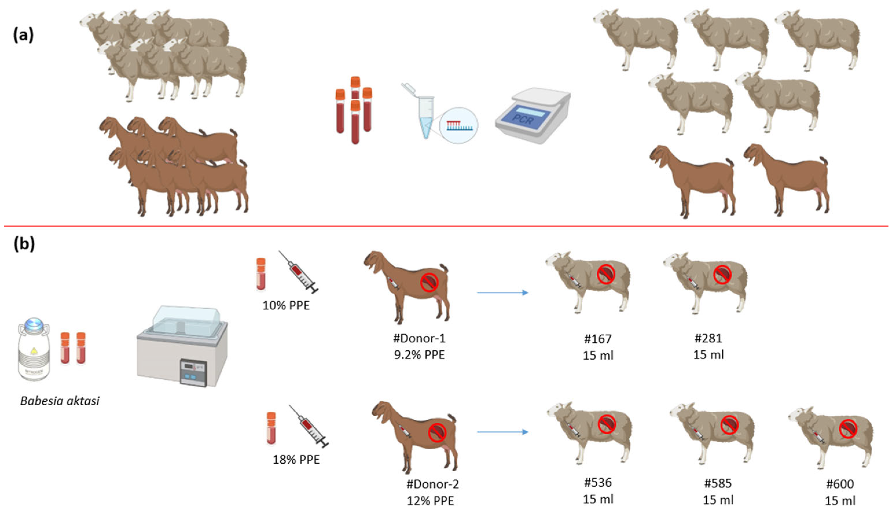 Vetsci 11 00359 g001