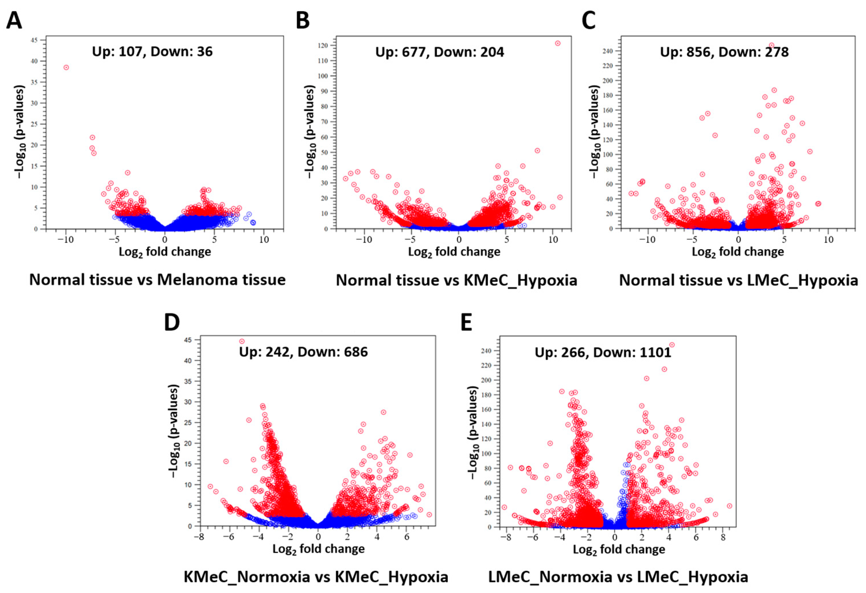 Vetsci 11 00361 g001