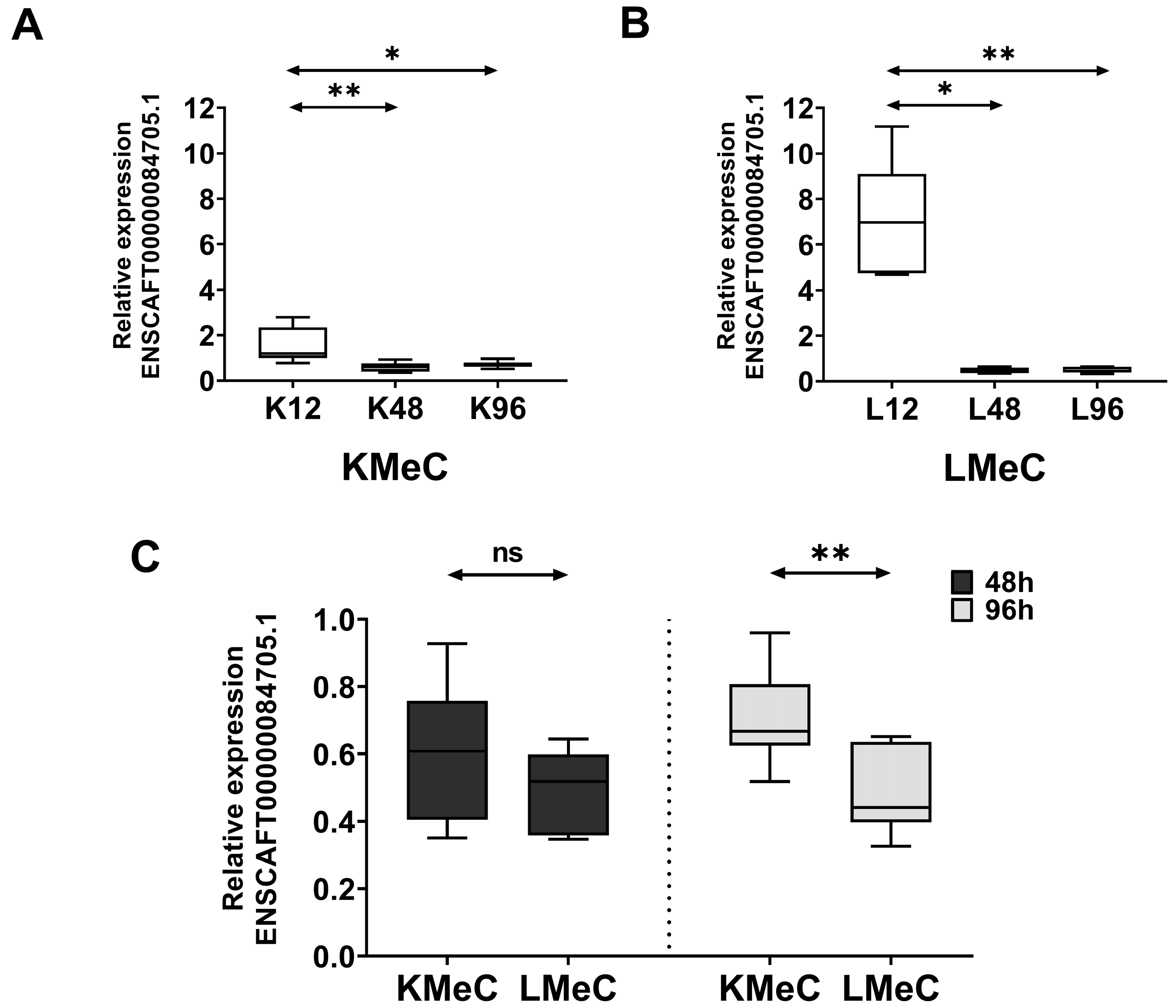 Vetsci 11 00361 g004