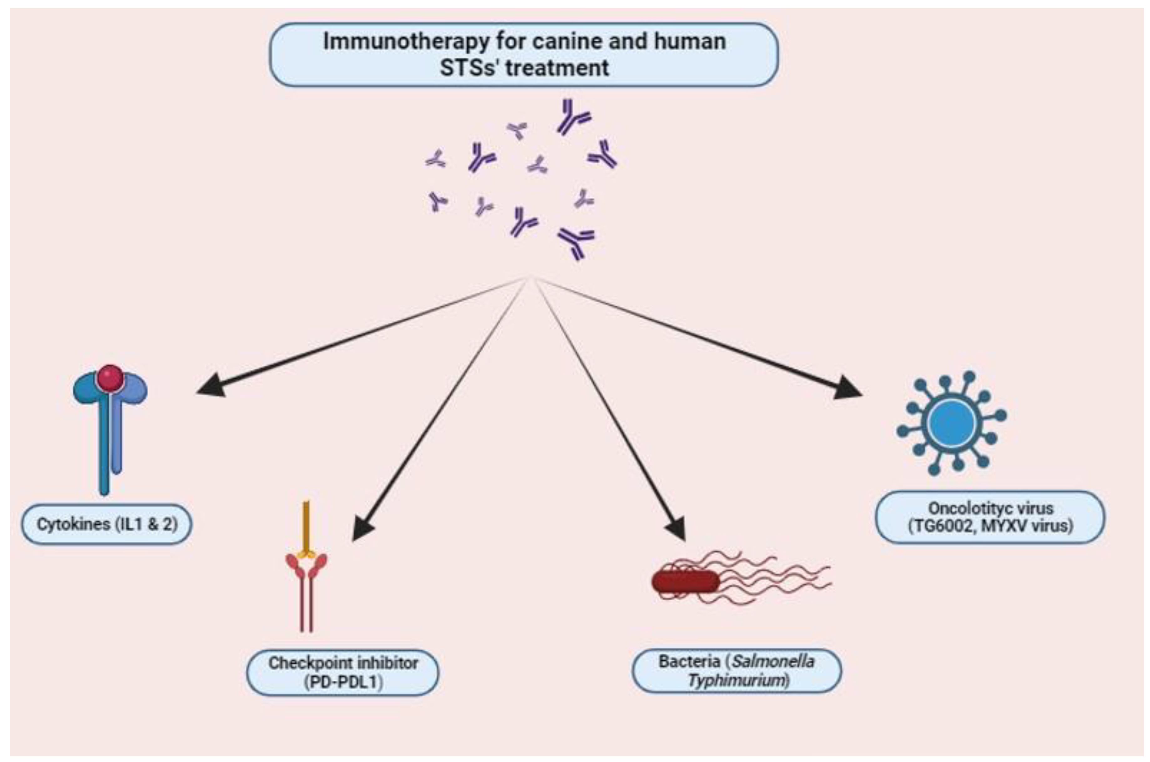 Vetsci 11 00362 g003