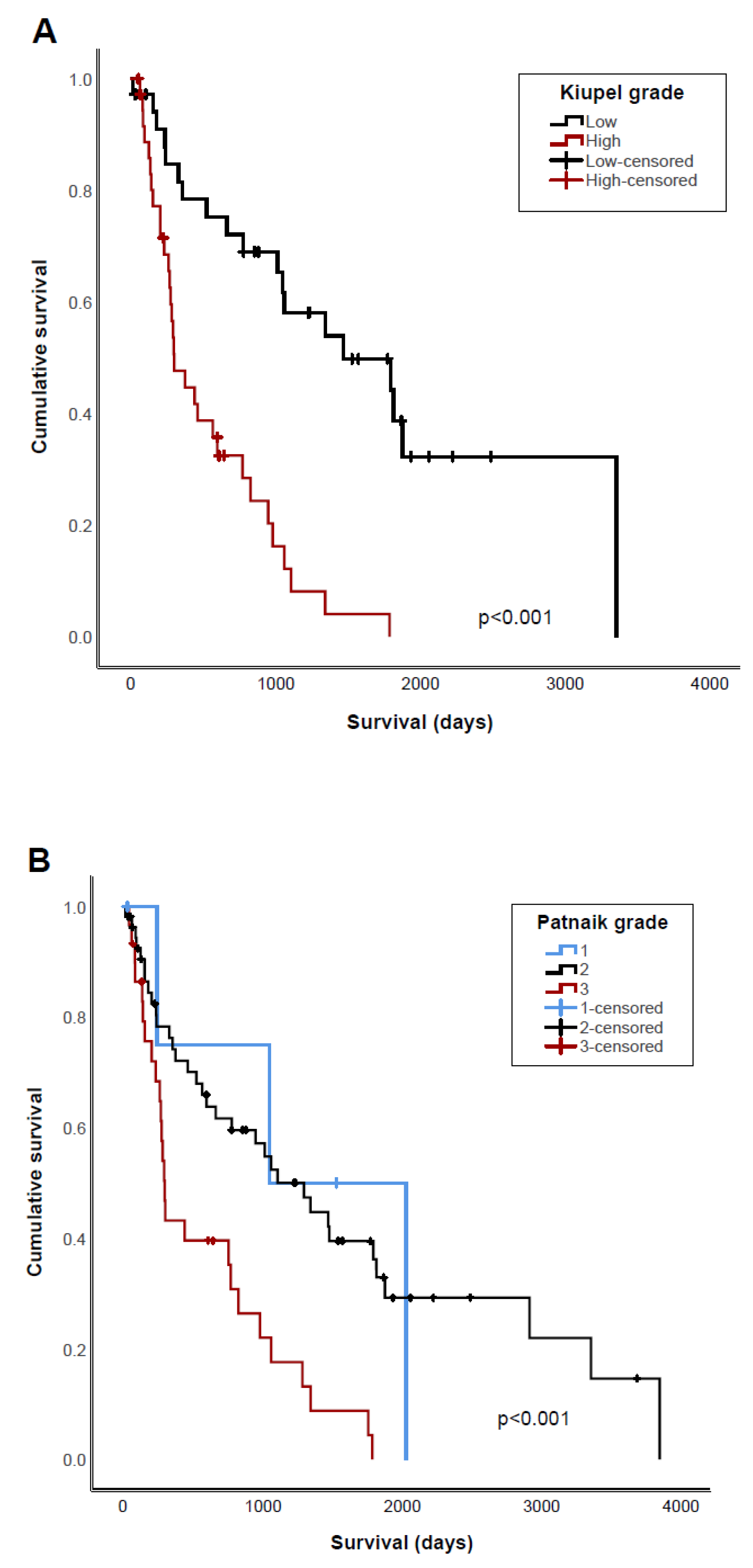 Vetsci 11 00363 g001a