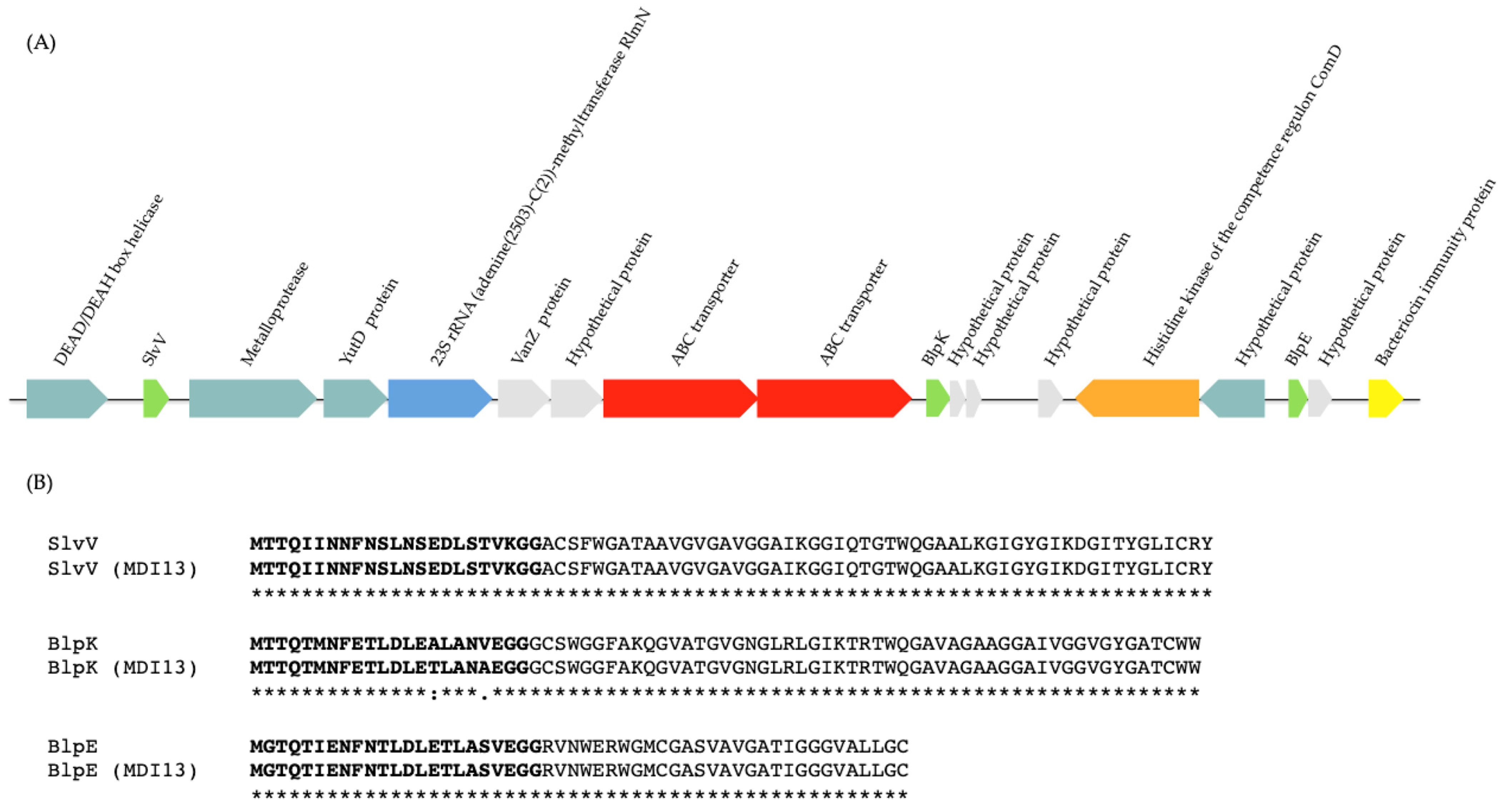 Vetsci 11 00365 g004 Vetsci 11 00365 g004