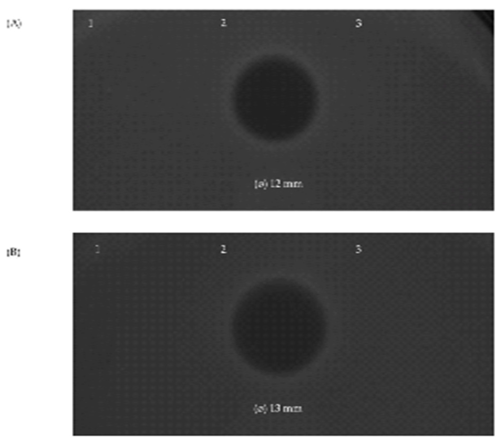 Vetsci 11 00365 g005 Vetsci 11 00365 g005