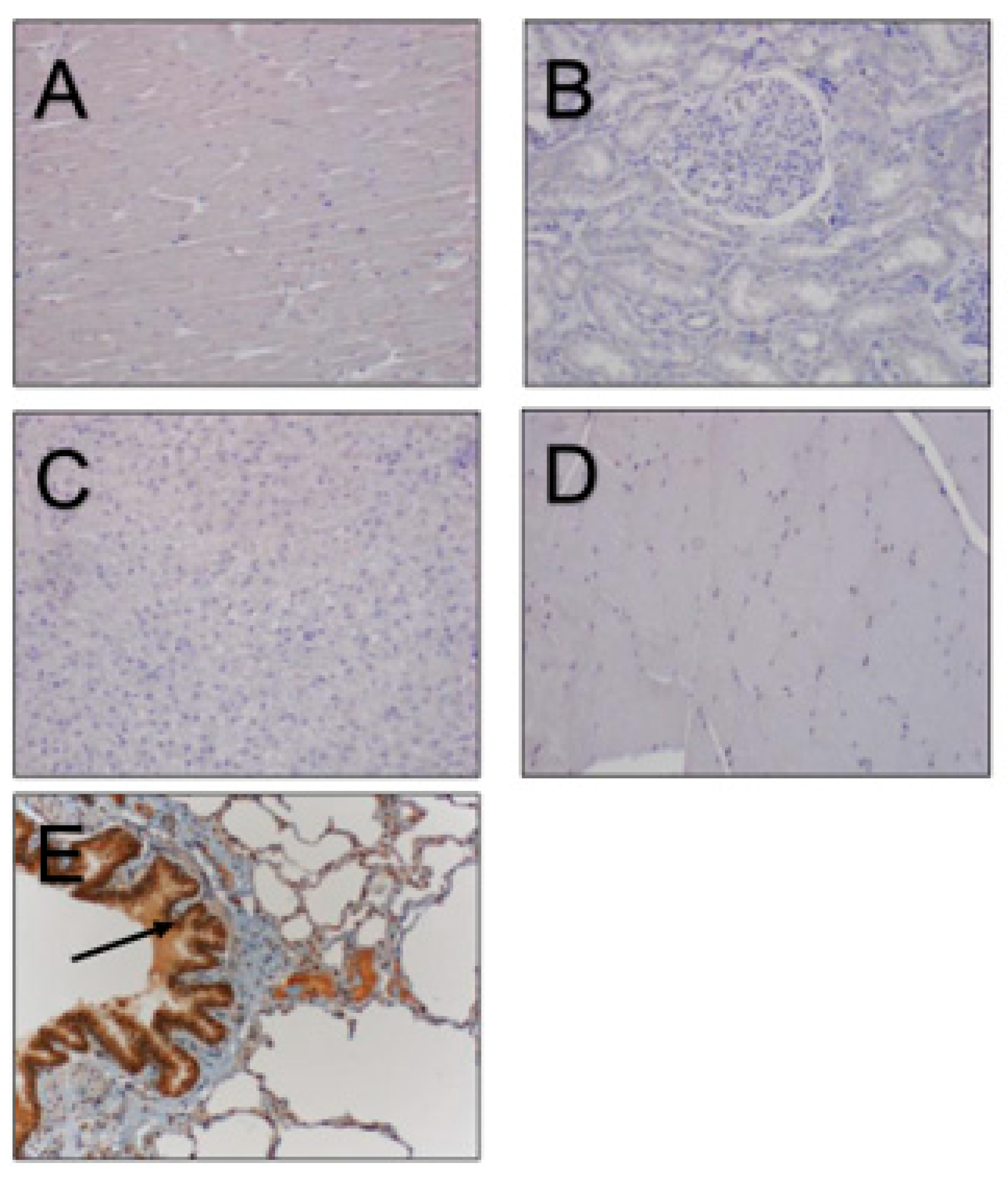 Vetsci 11 00367 g005