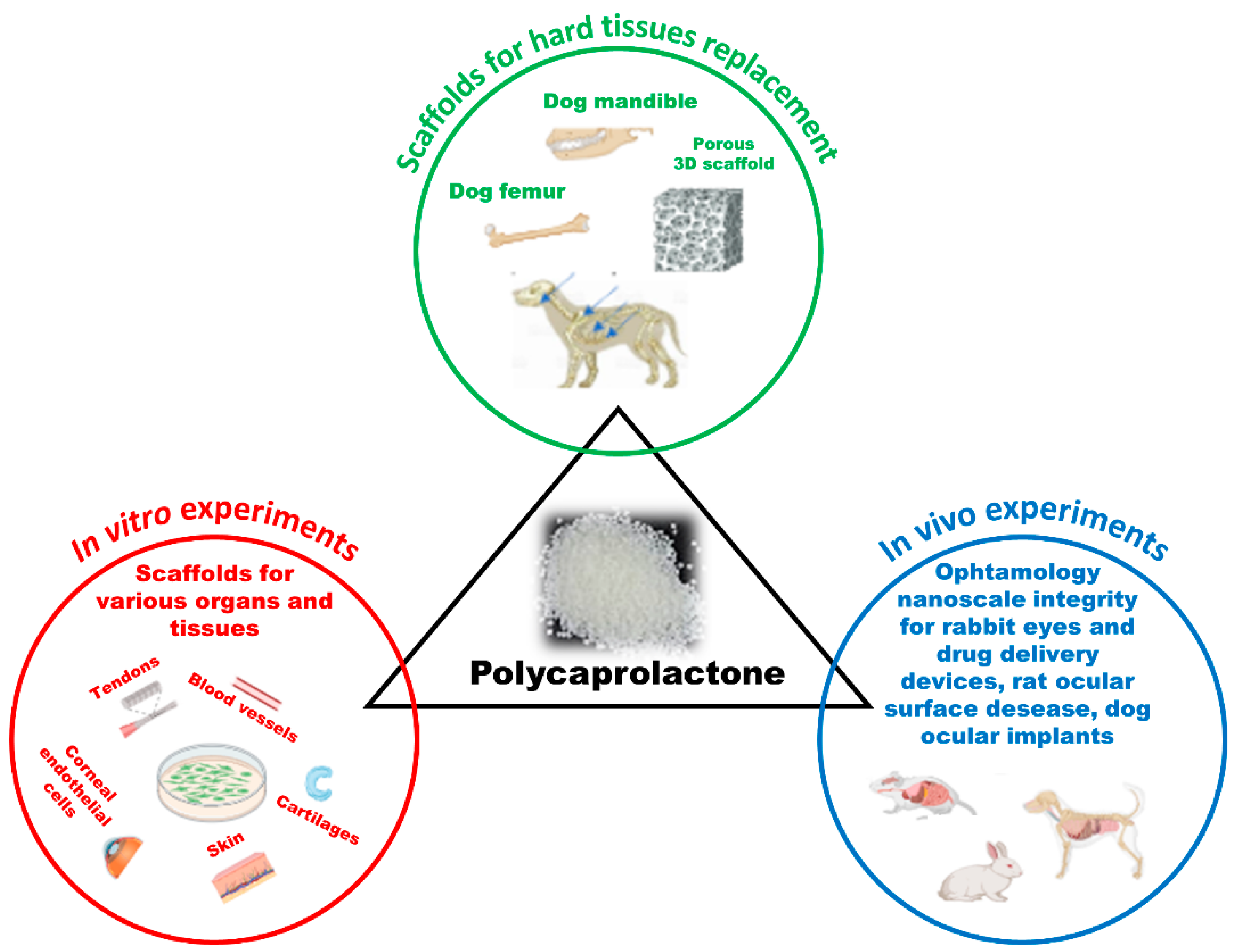 Vetsci 11 00368 g001