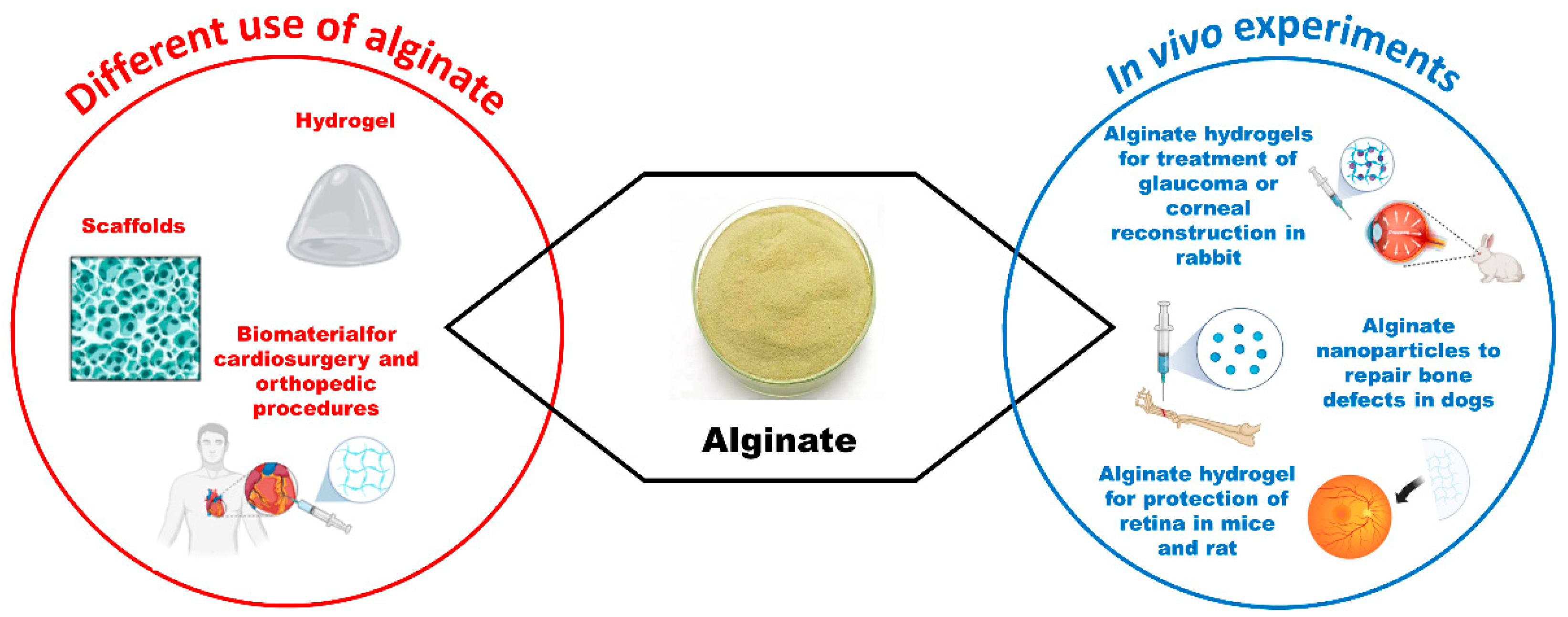 Vetsci 11 00368 g005