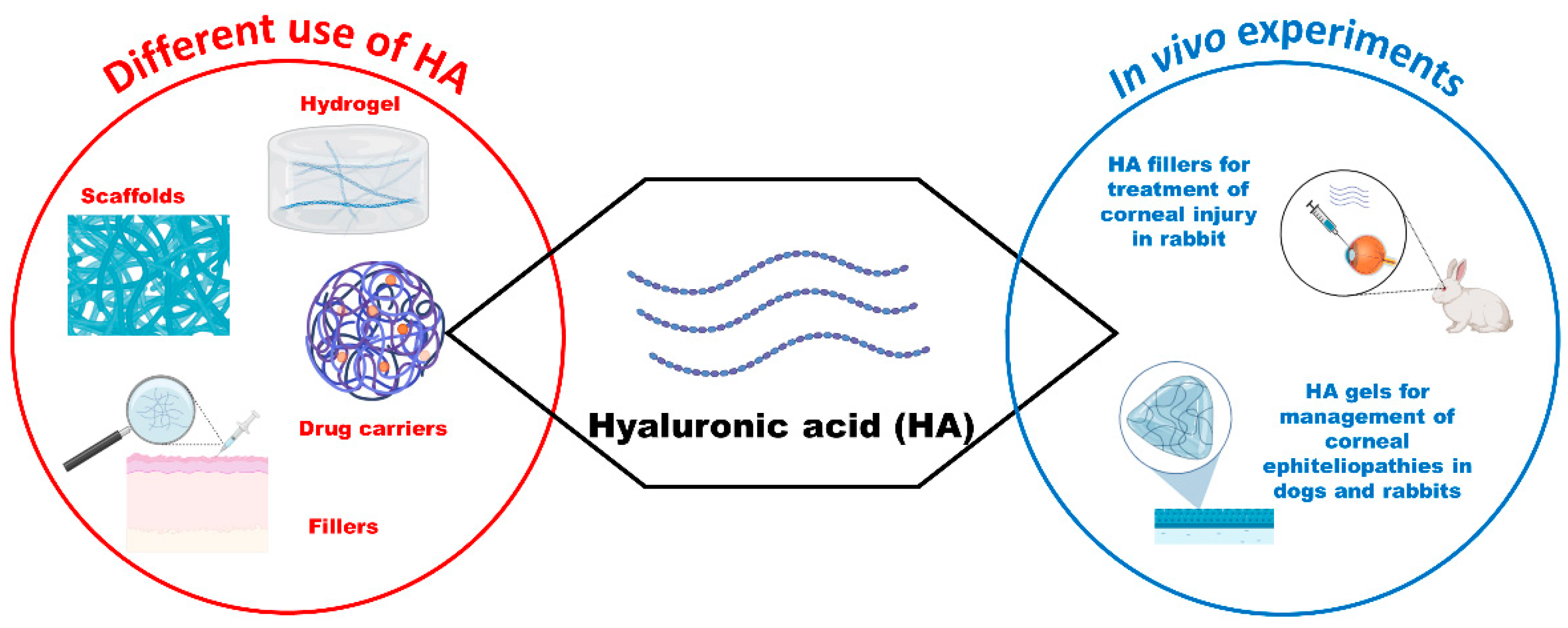 Vetsci 11 00368 g006