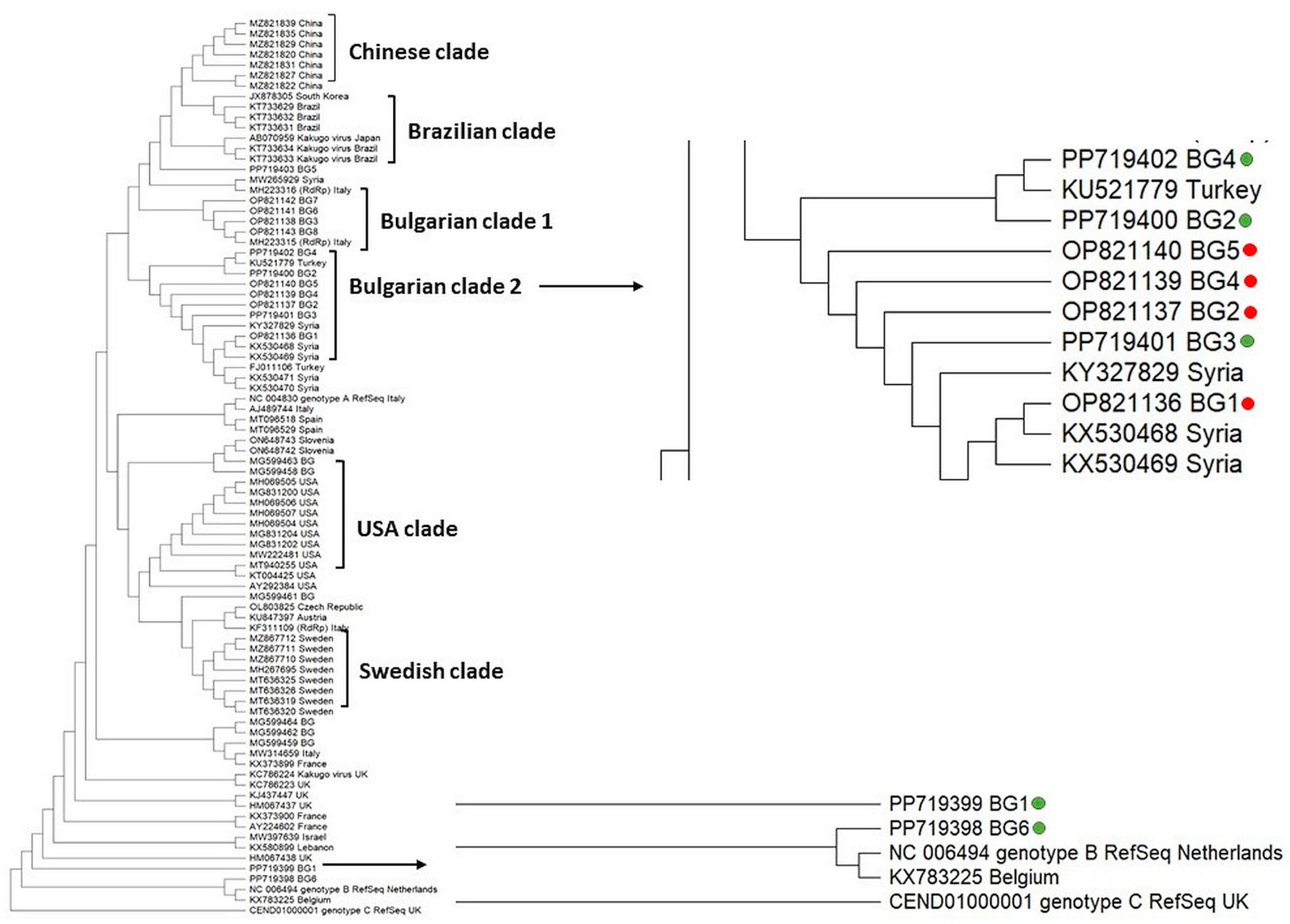 Vetsci 11 00369 g003