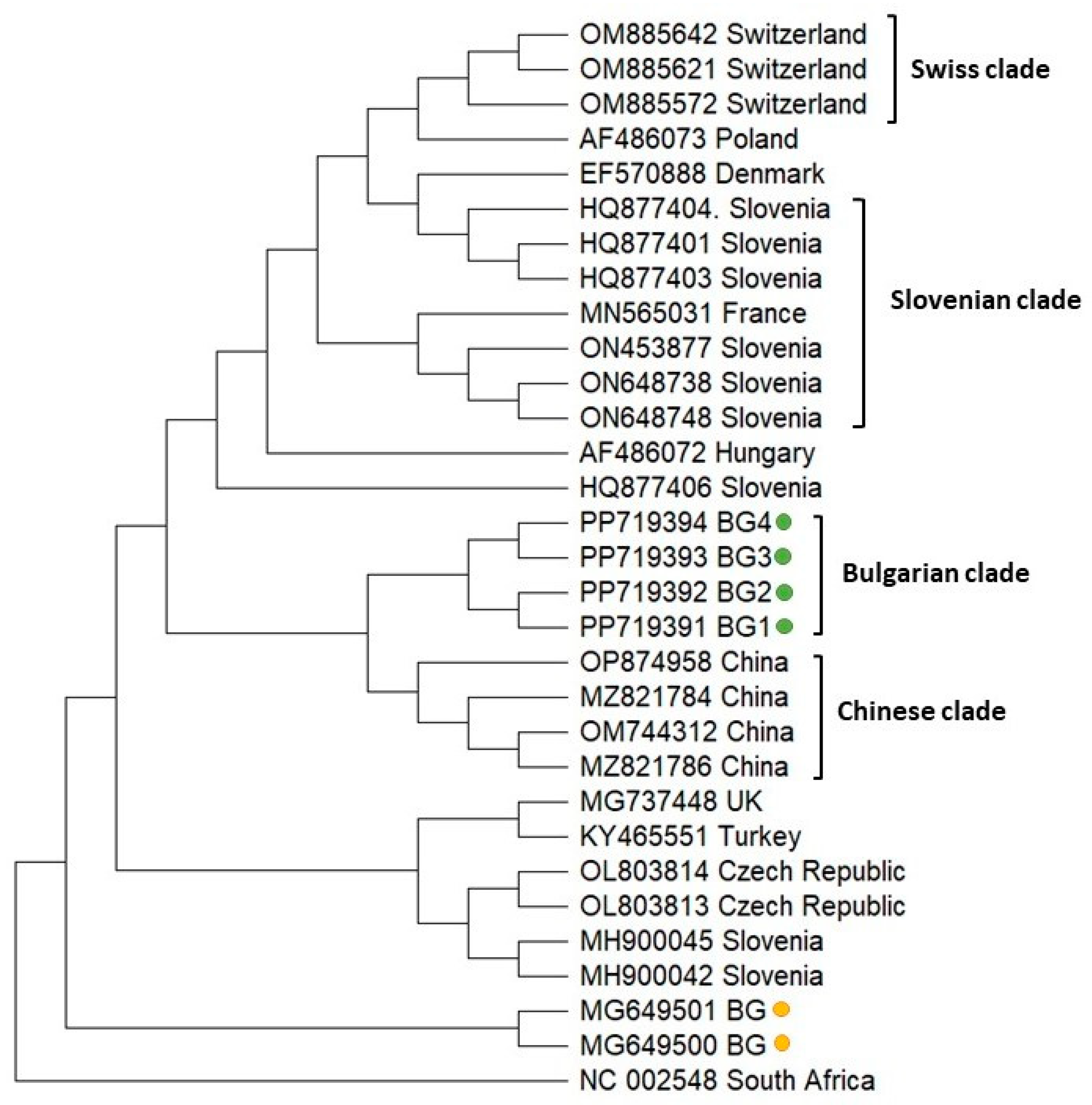 Vetsci 11 00369 g004
