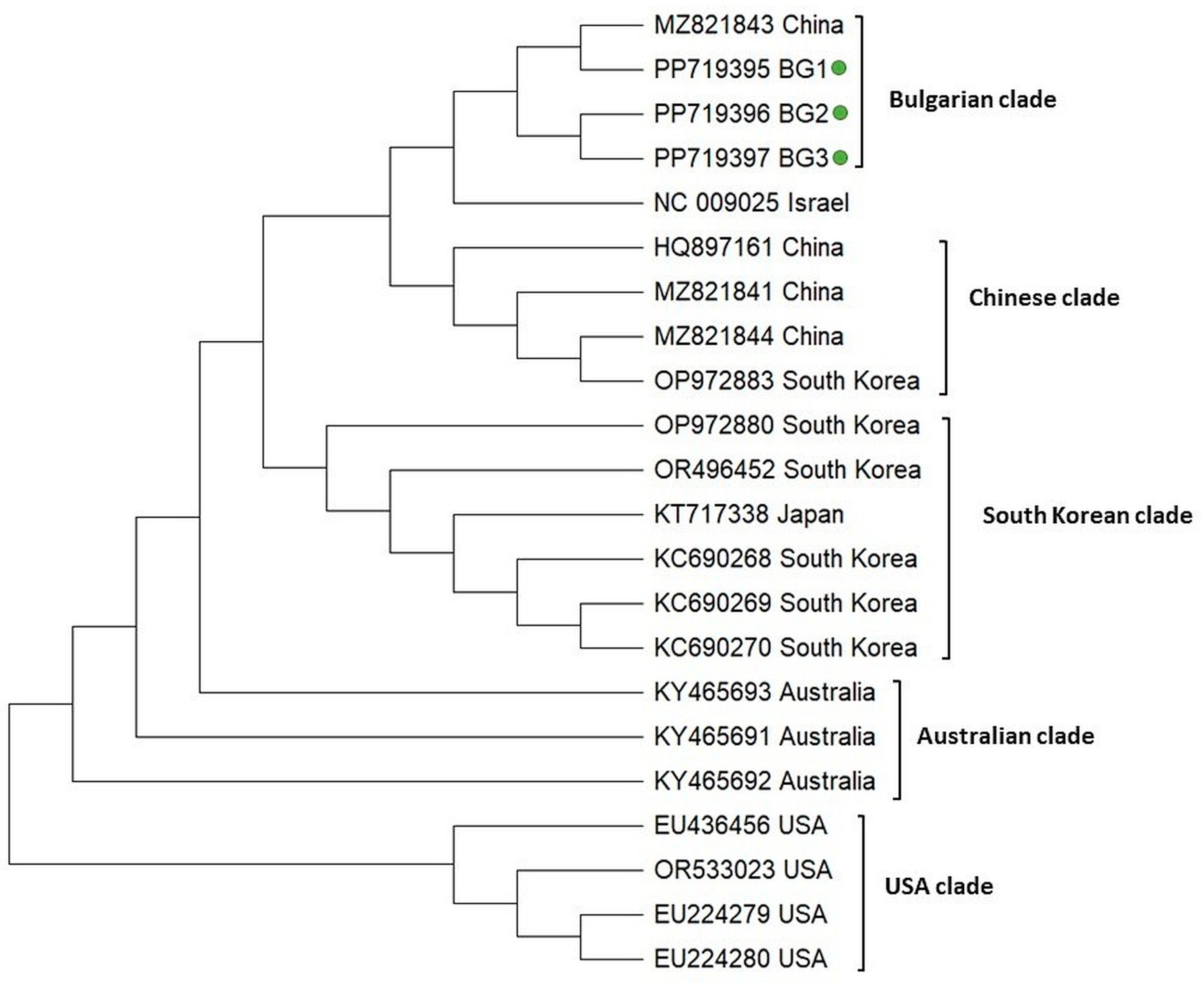Vetsci 11 00369 g005