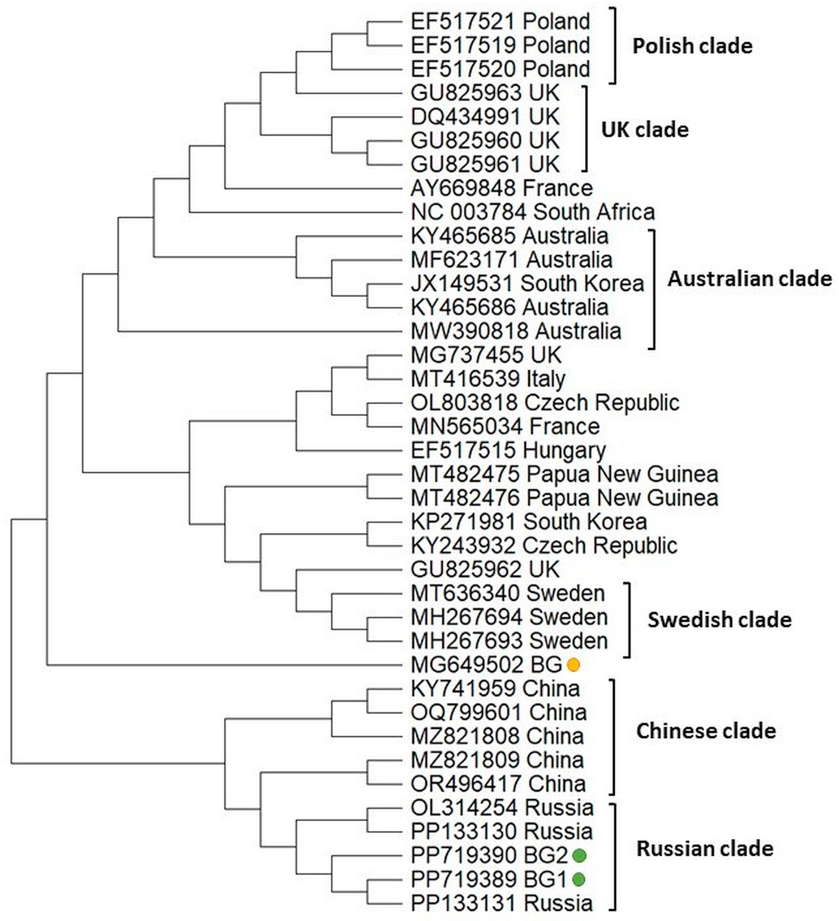 Vetsci 11 00369 g006