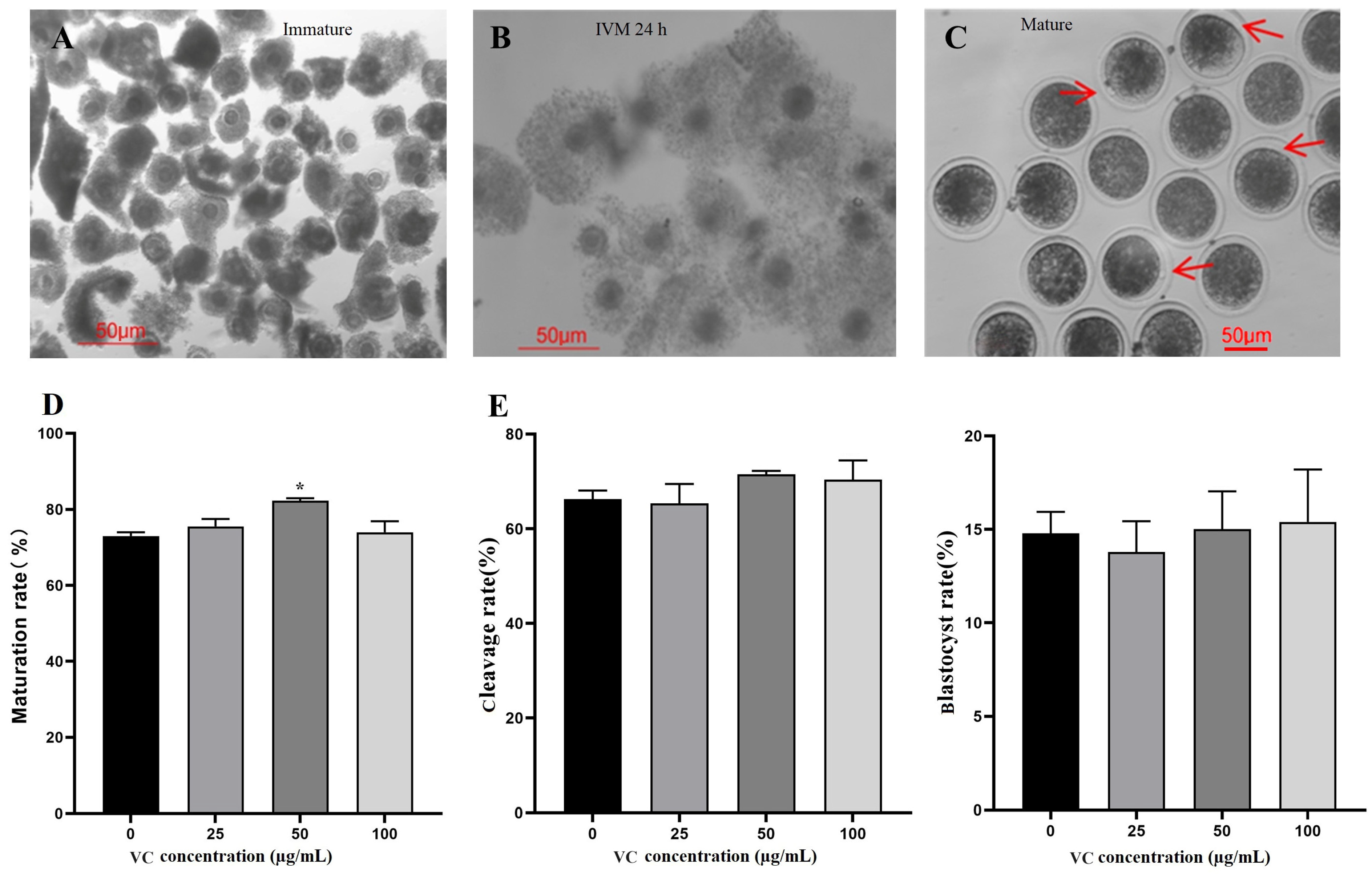 Vetsci 11 00372 g001