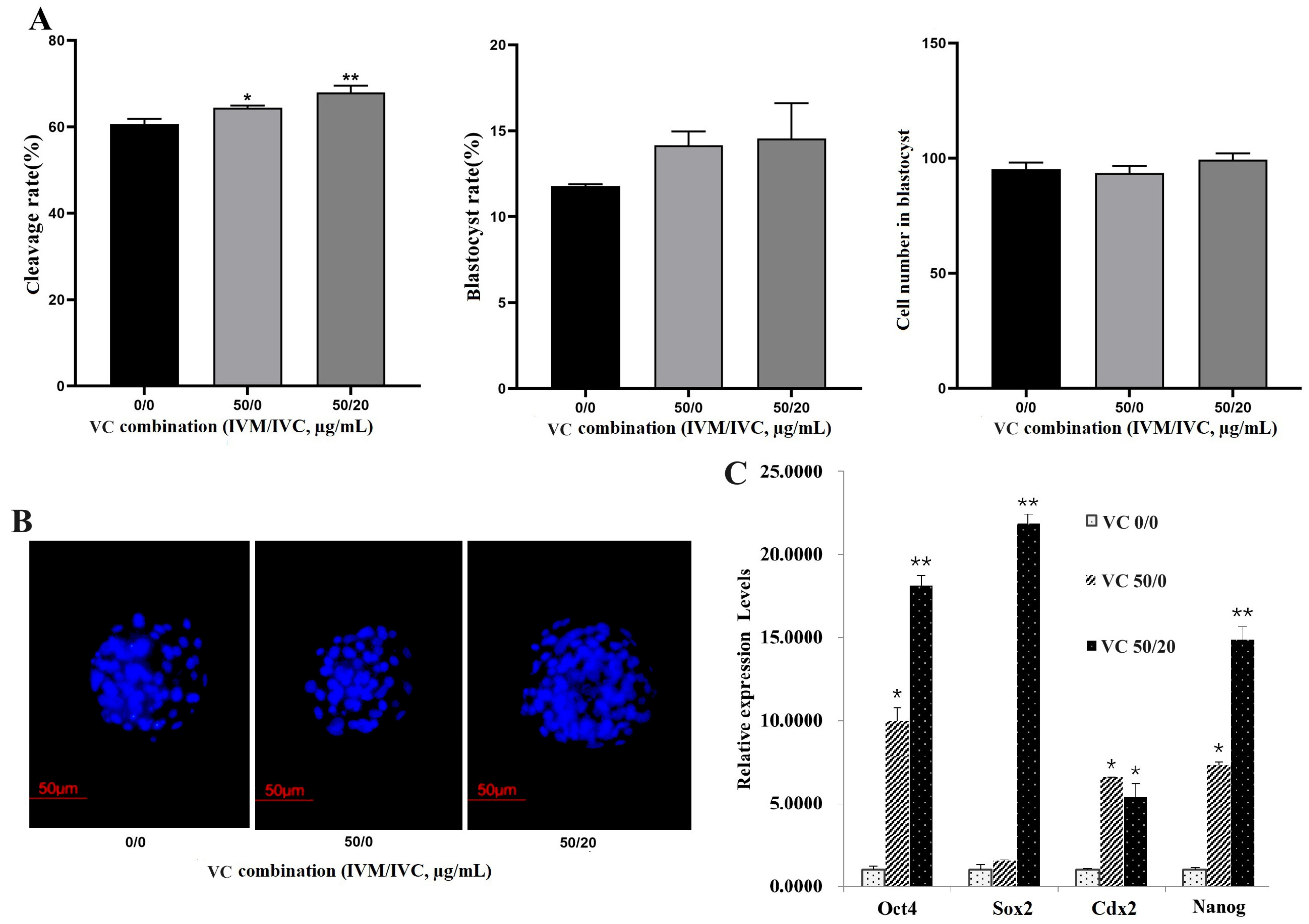 Vetsci 11 00372 g003