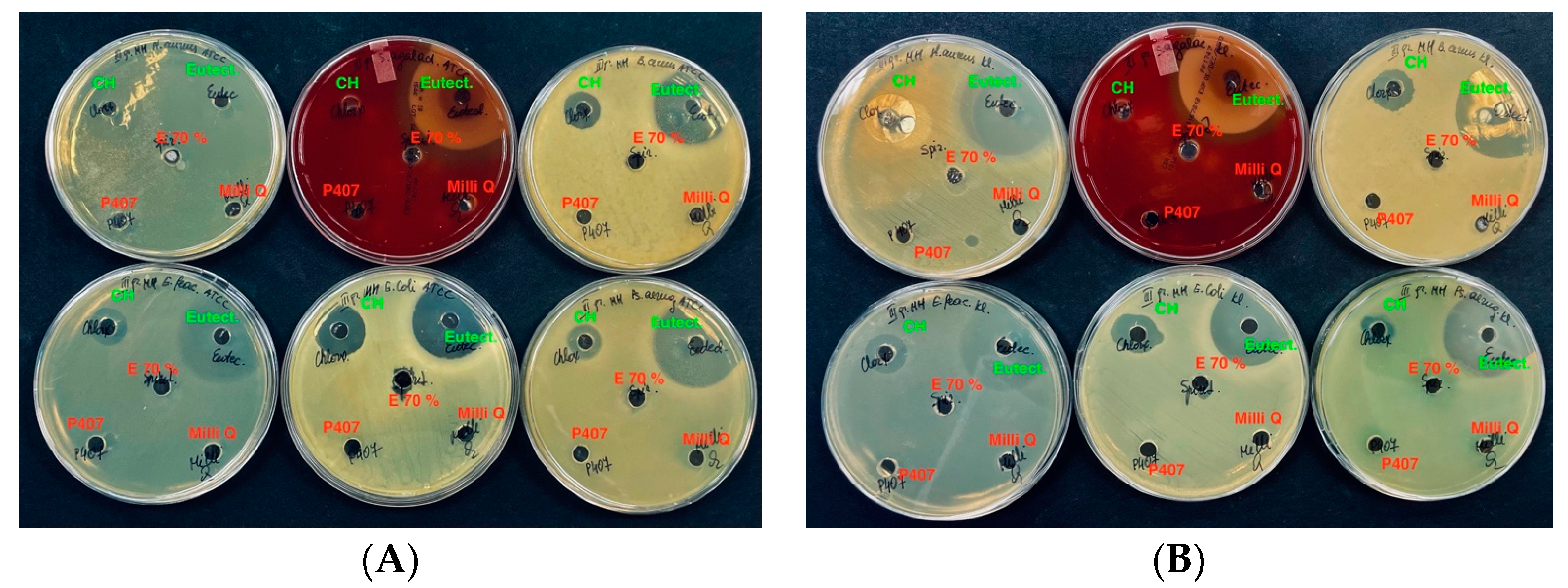 Vetsci 11 00375 g007