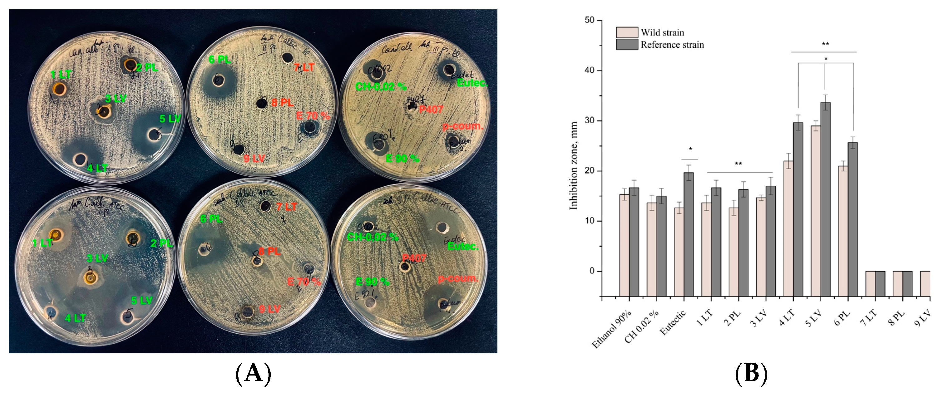 Vetsci 11 00375 g008