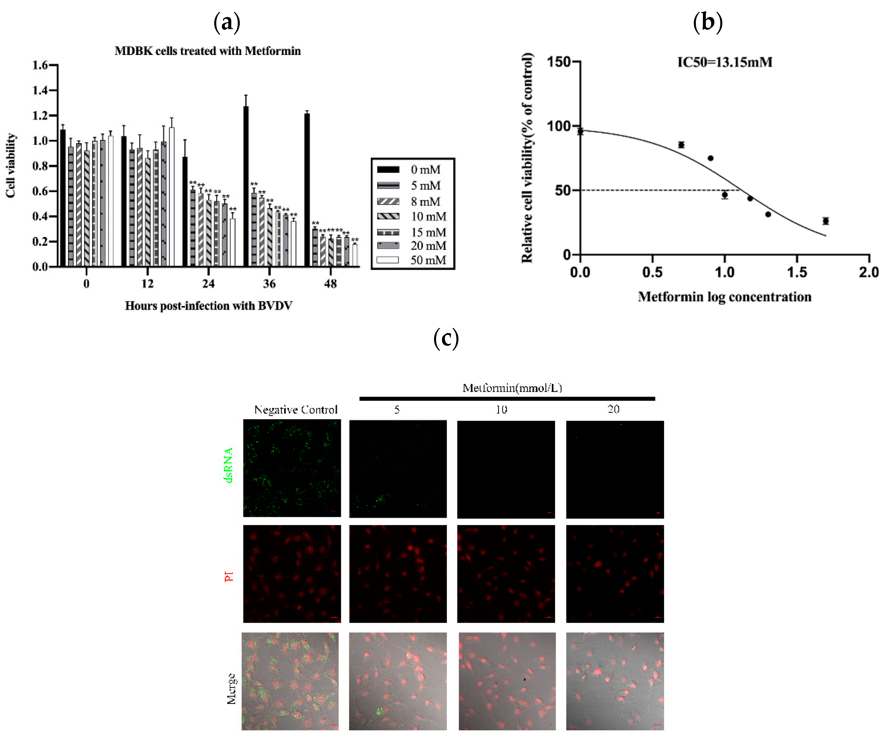 Vetsci 11 00376 g001a