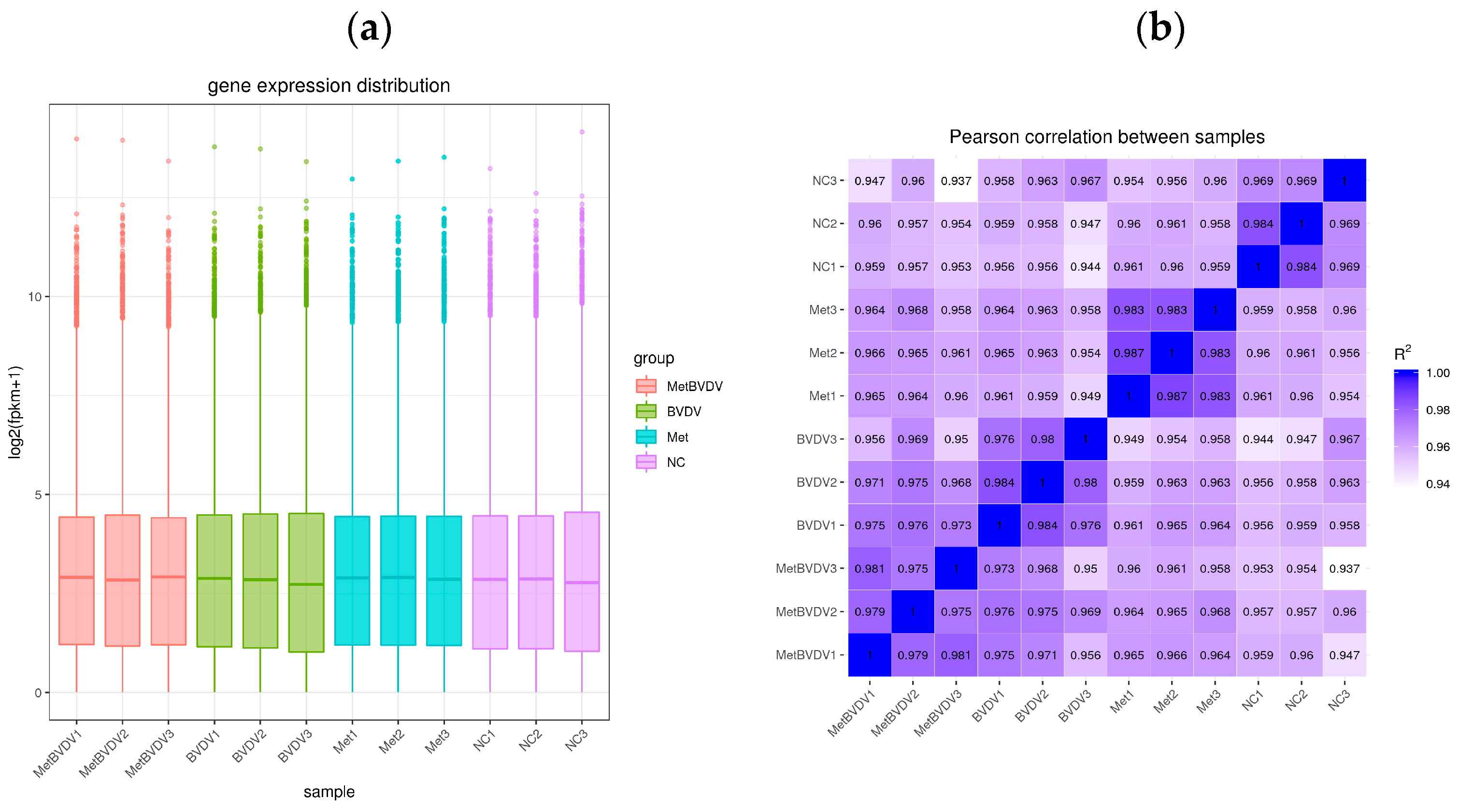 Vetsci 11 00376 g002