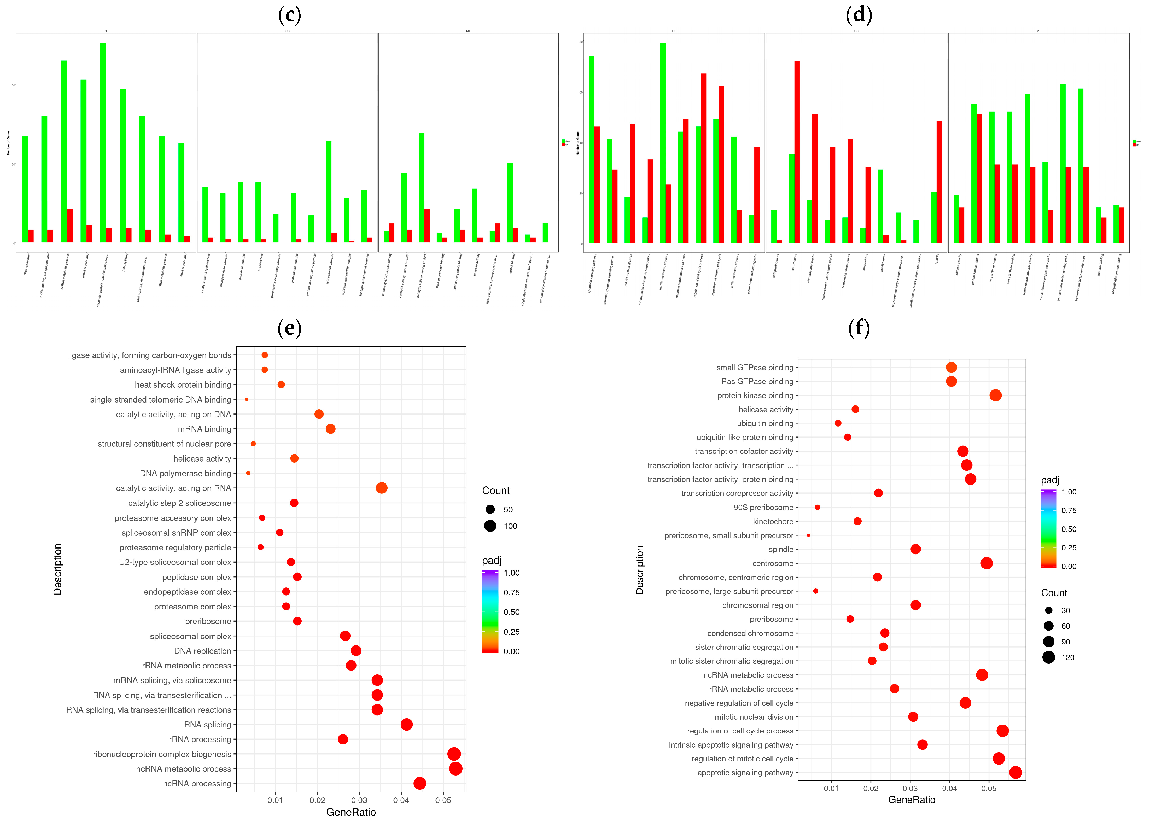 Vetsci 11 00376 g004b