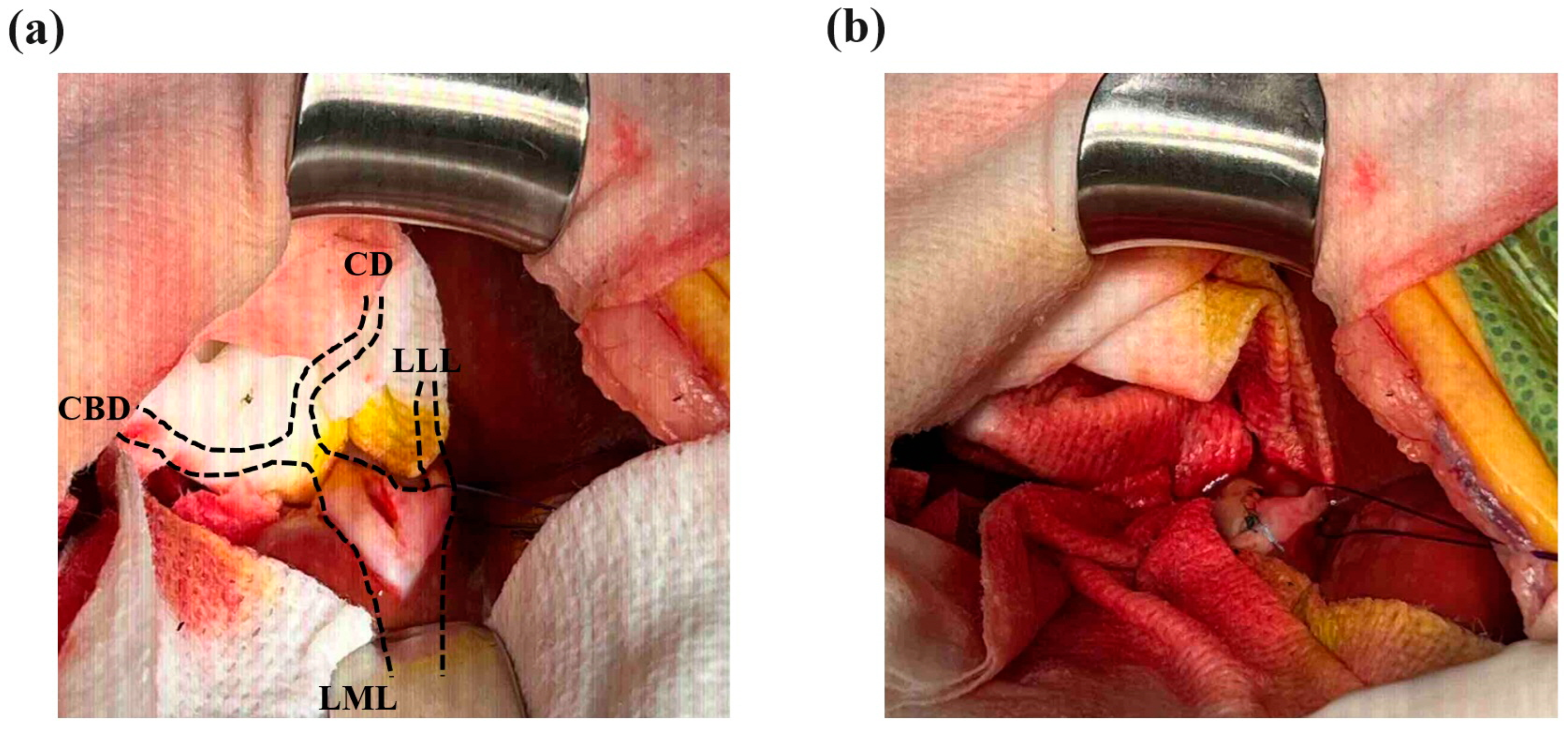 Vetsci 11 00378 g003