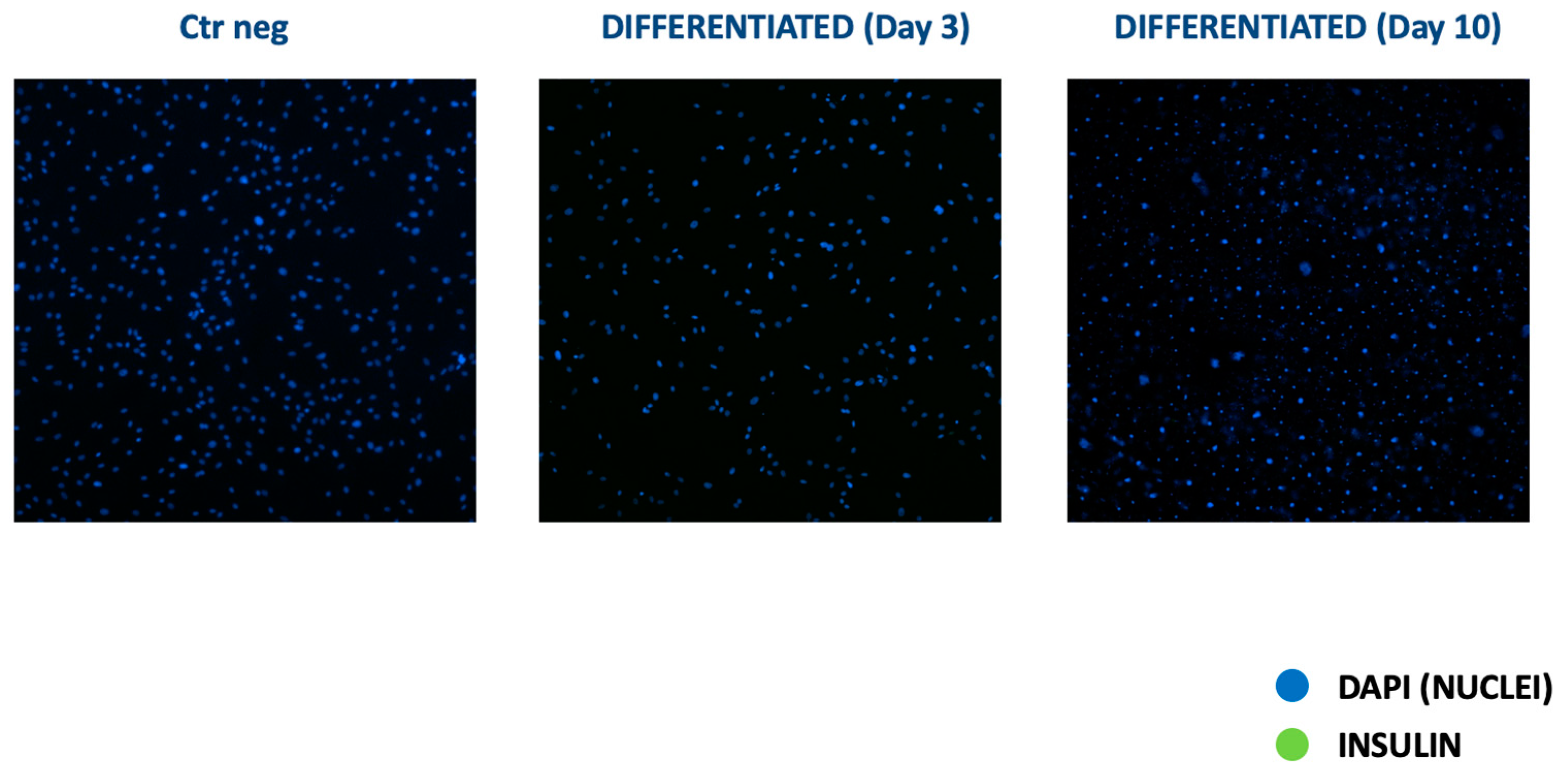 Vetsci 11 00380 g005 Vetsci 11 00380 g005