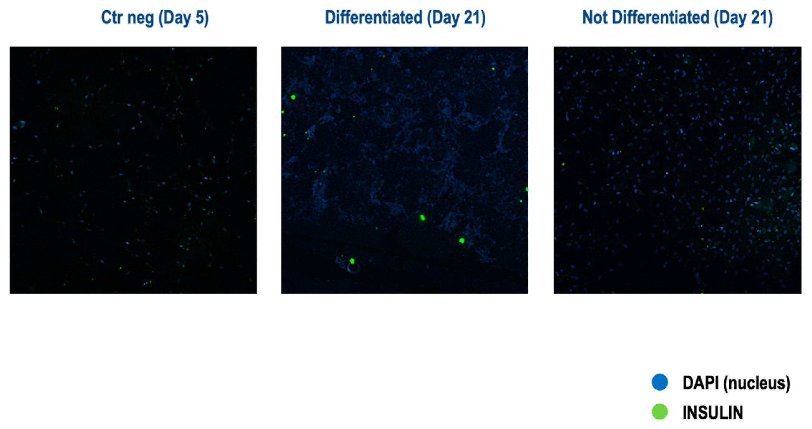 Vetsci 11 00380 g009 Vetsci 11 00380 g009
