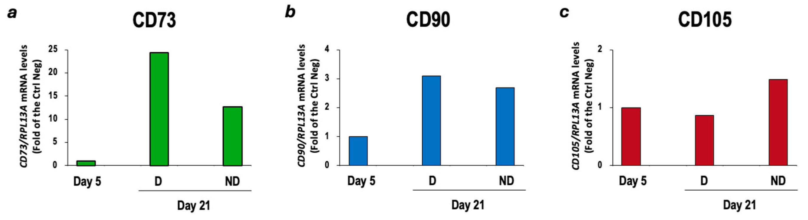 Vetsci 11 00380 g014 Vetsci 11 00380 g014