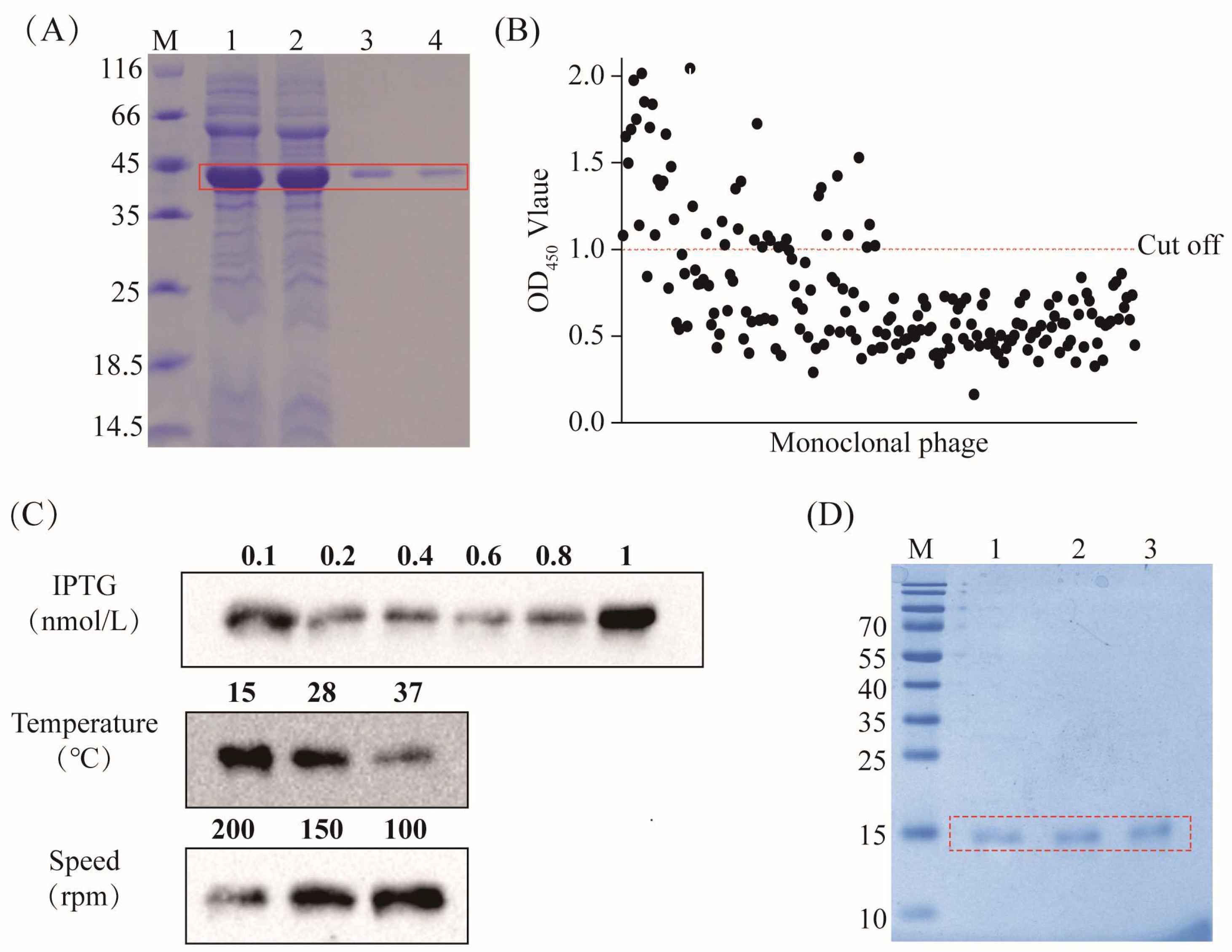 Vetsci 11 00381 g001
