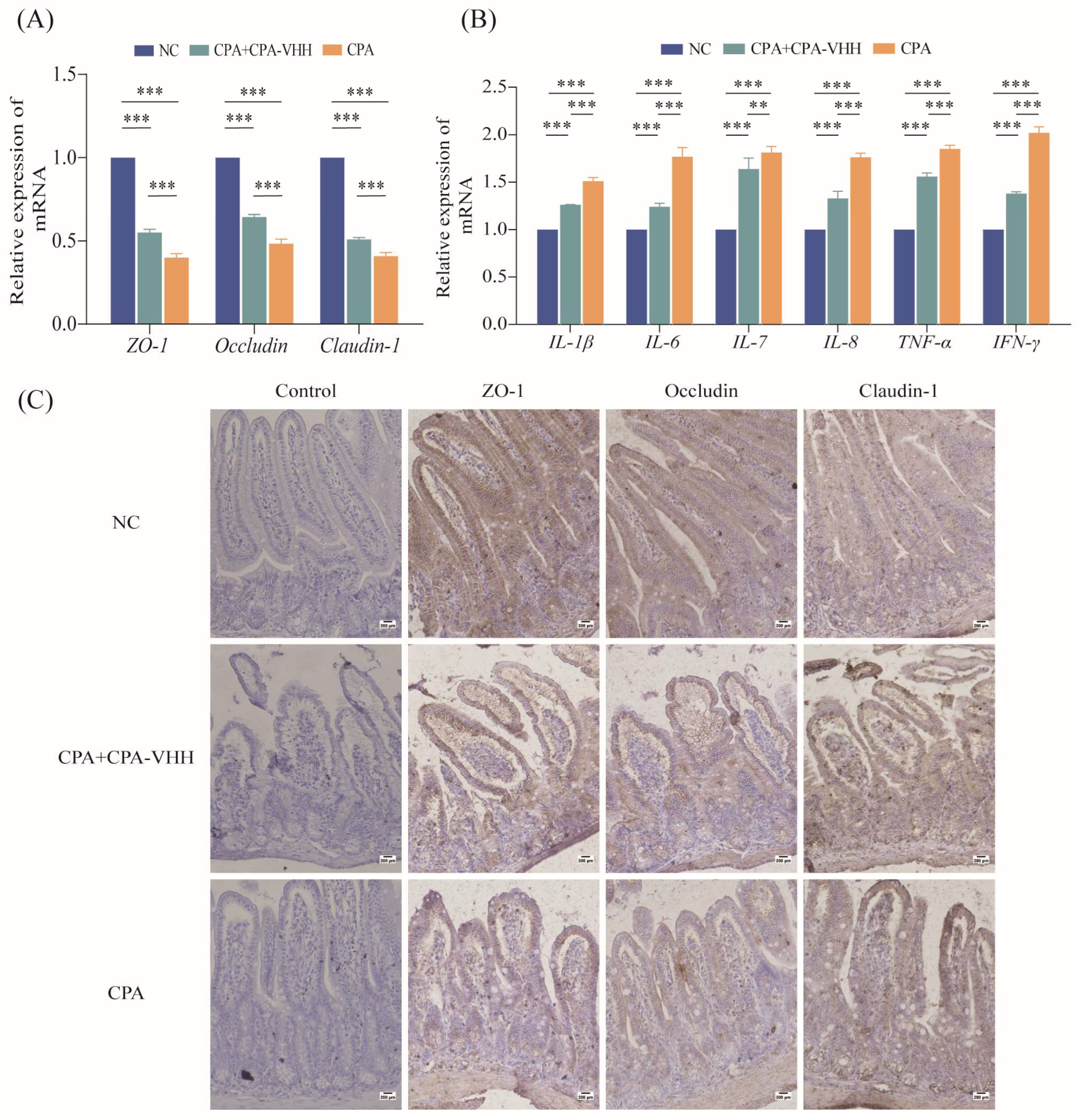 Vetsci 11 00381 g006