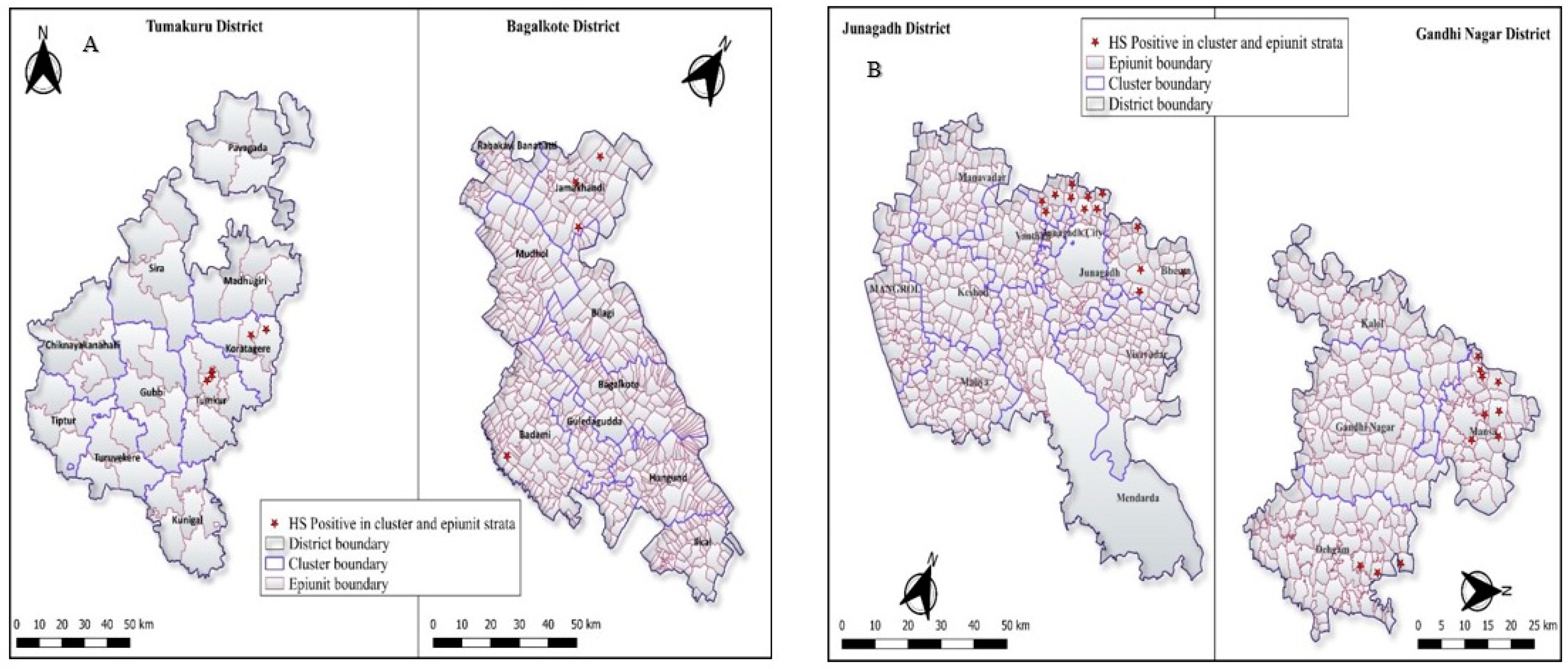 Vetsci 11 00386 g003